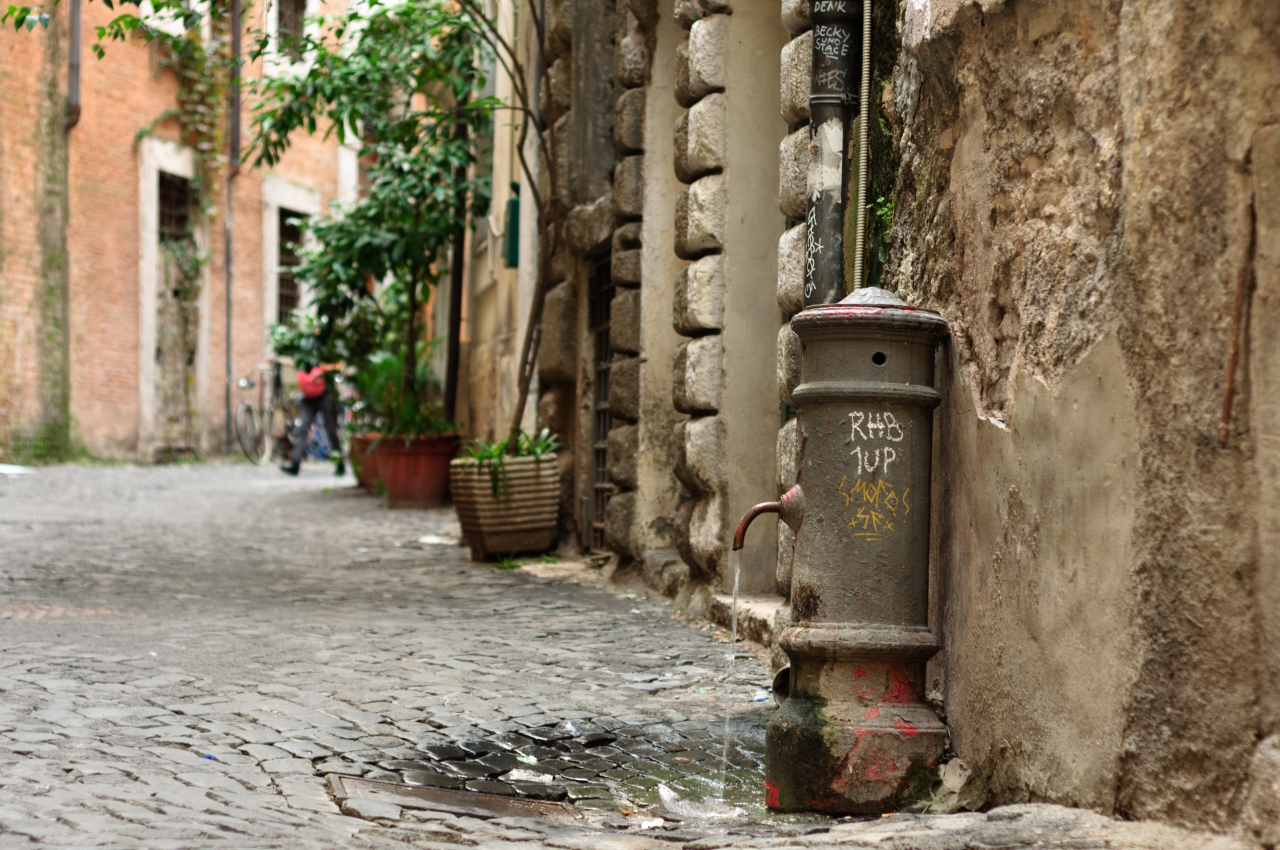 Rome: Discover Genuine Italian Food with a Guided Tour - Photo 25