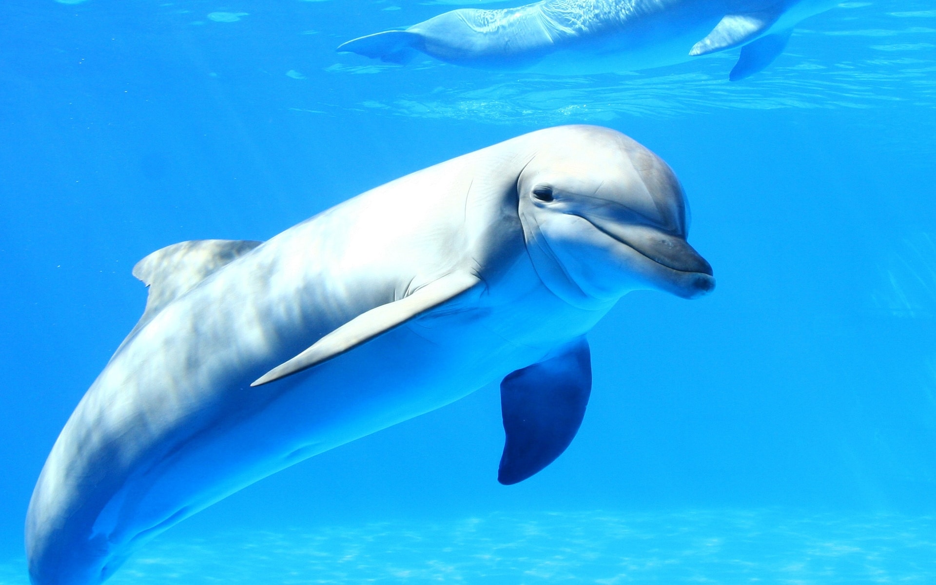 Book Your Hurghada Snorkeling Eden Island Trip for an Unforgettable Experience