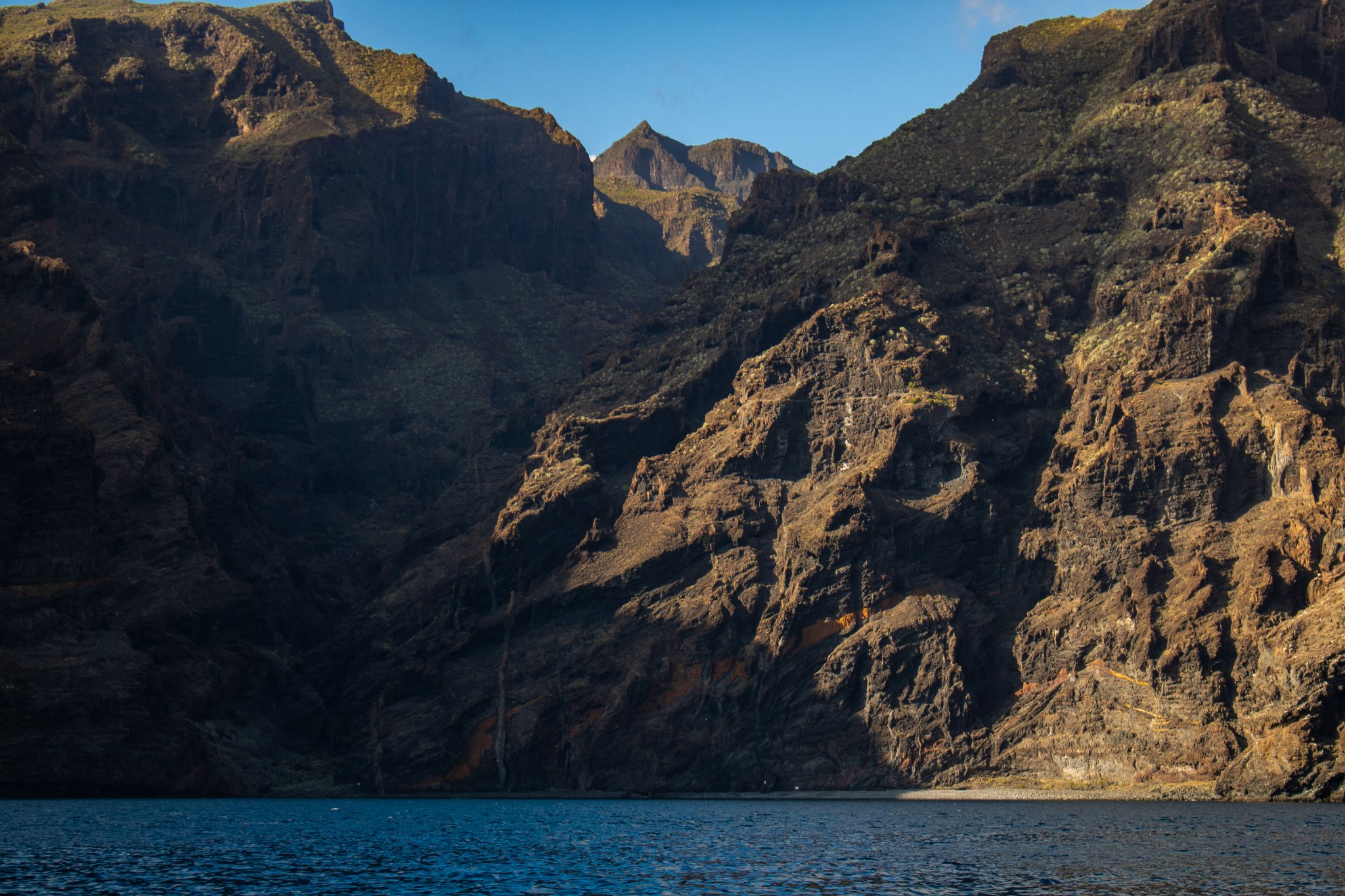 Teide y Delfines, un día mágico! - Photo 17