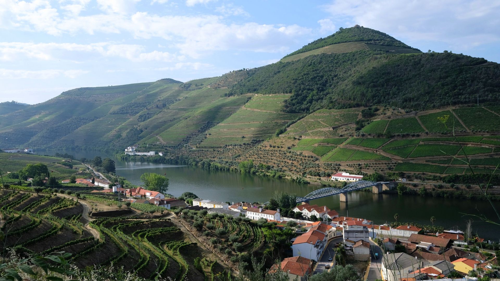 Douro Valley Small Group Tour with Wine Tastings, Lunch and River Cruise  - Photo 36