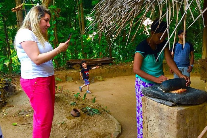 Royal Botanic Garden and Village Life Tour from Kandy