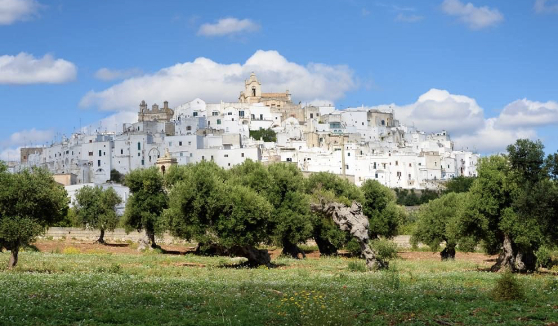 Ostuni, Alberobello and Polignano a Mare Tour. Departing from Lecce - Photo 2