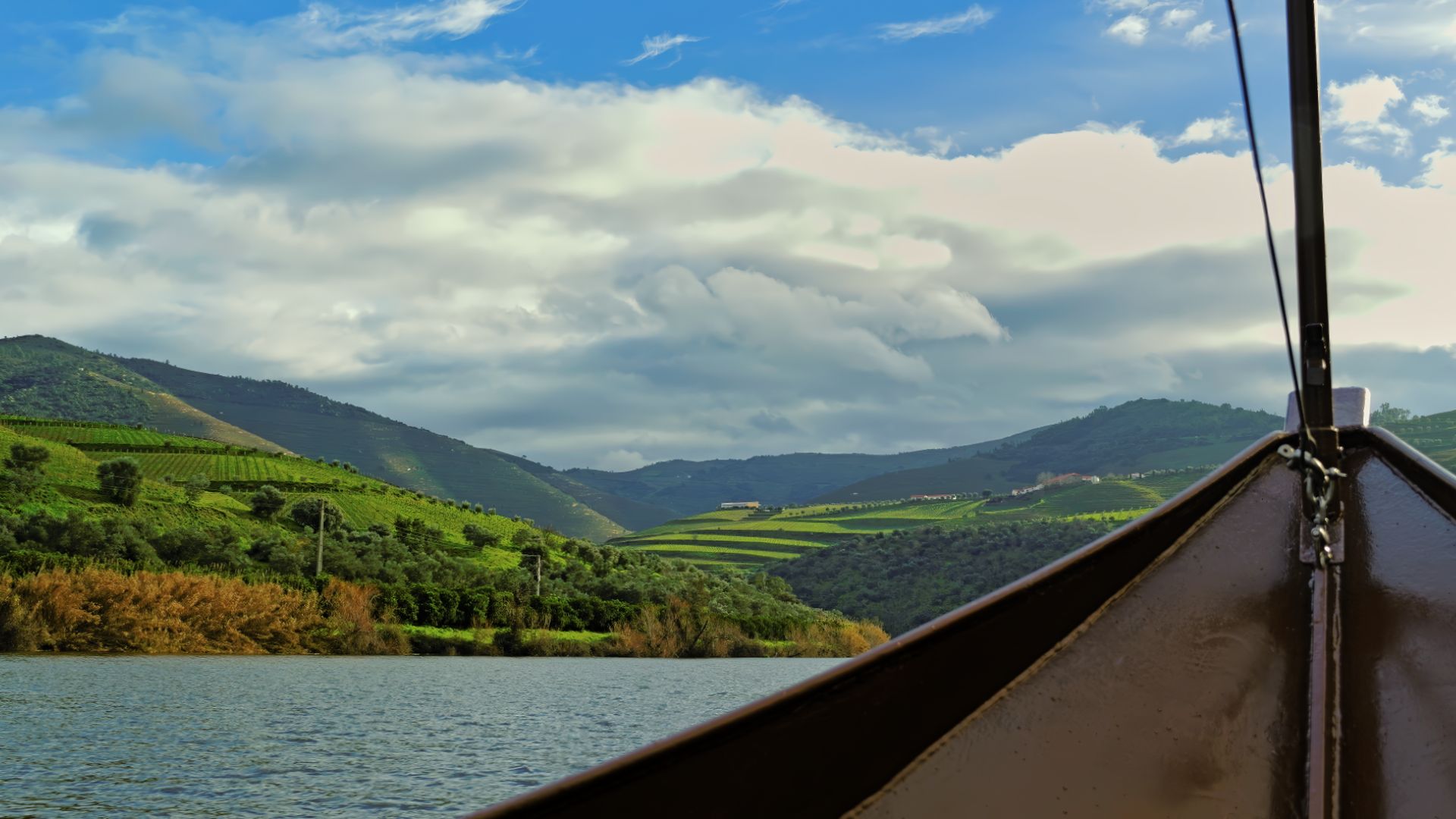 Douro Valley Small Group Tour with Wine Tastings, Lunch and River Cruise  - Photo 6