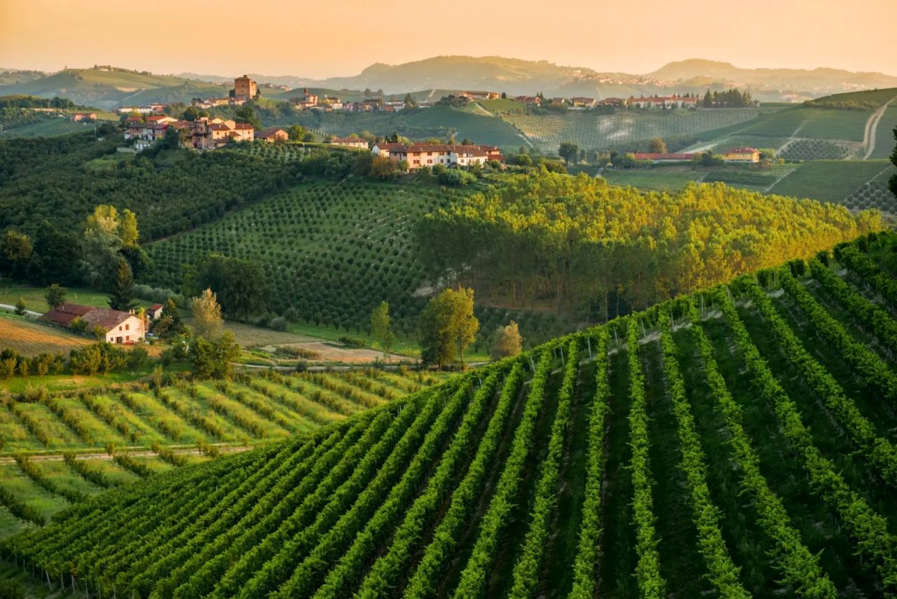La Madama: A Journey through Piedmont's Tradition and Wines - Photo 2