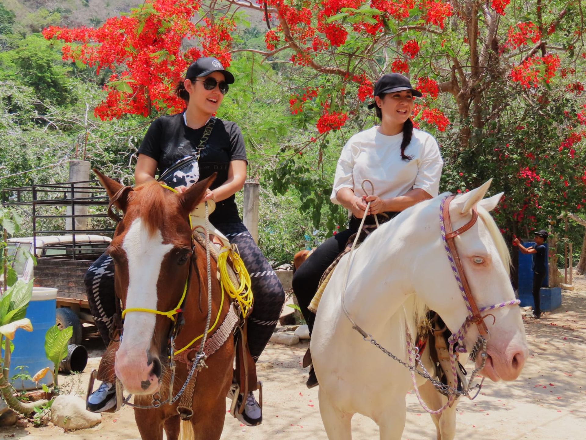 Desde Puerto Vallarta Cabalgata por la Sierra Madre 5