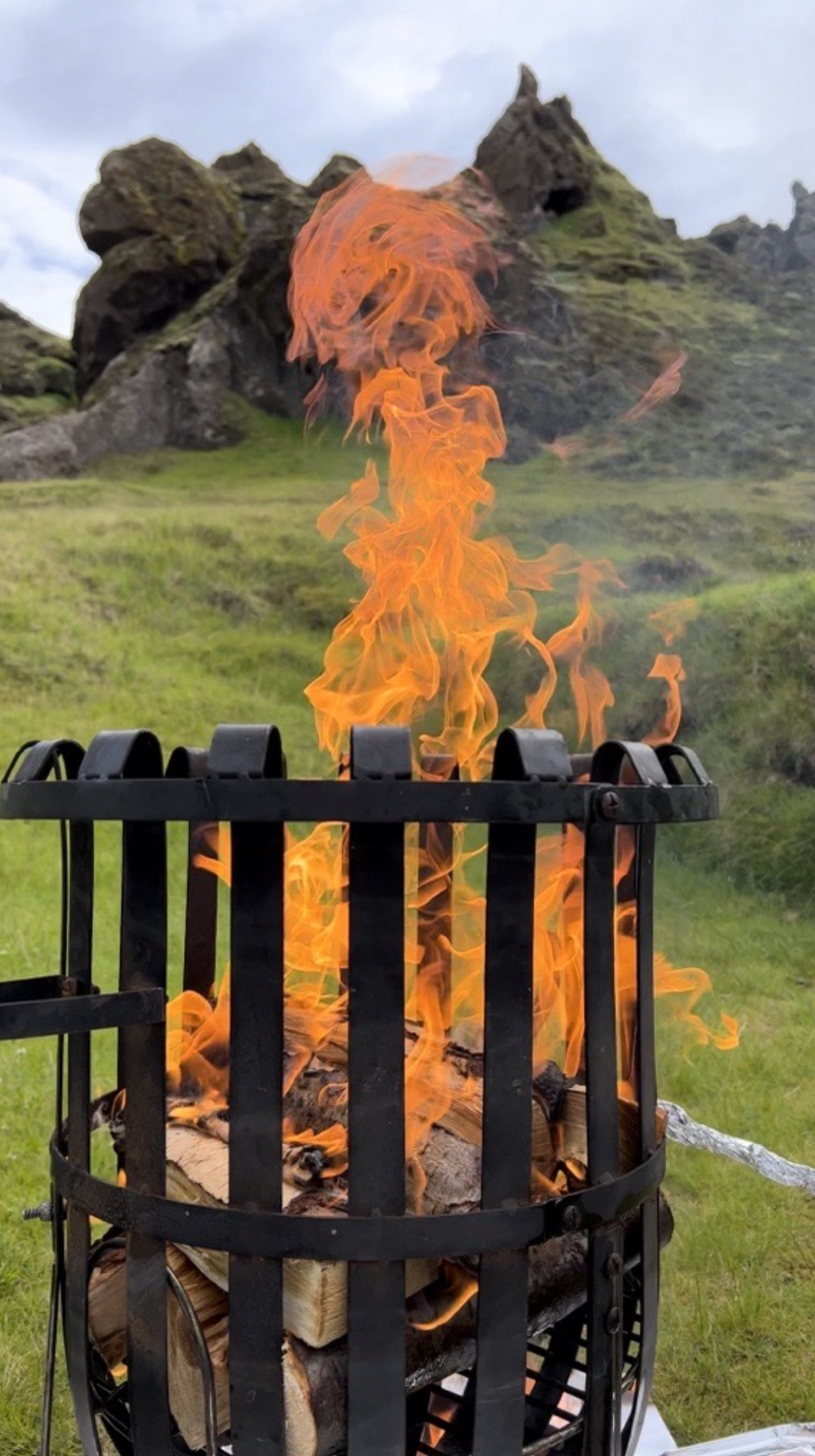 Viking BBQ - photo 3