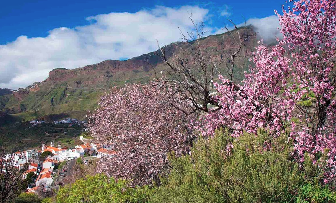 Almond Blossom Festival in Tejeda (Departure from Barceló Margaritas)