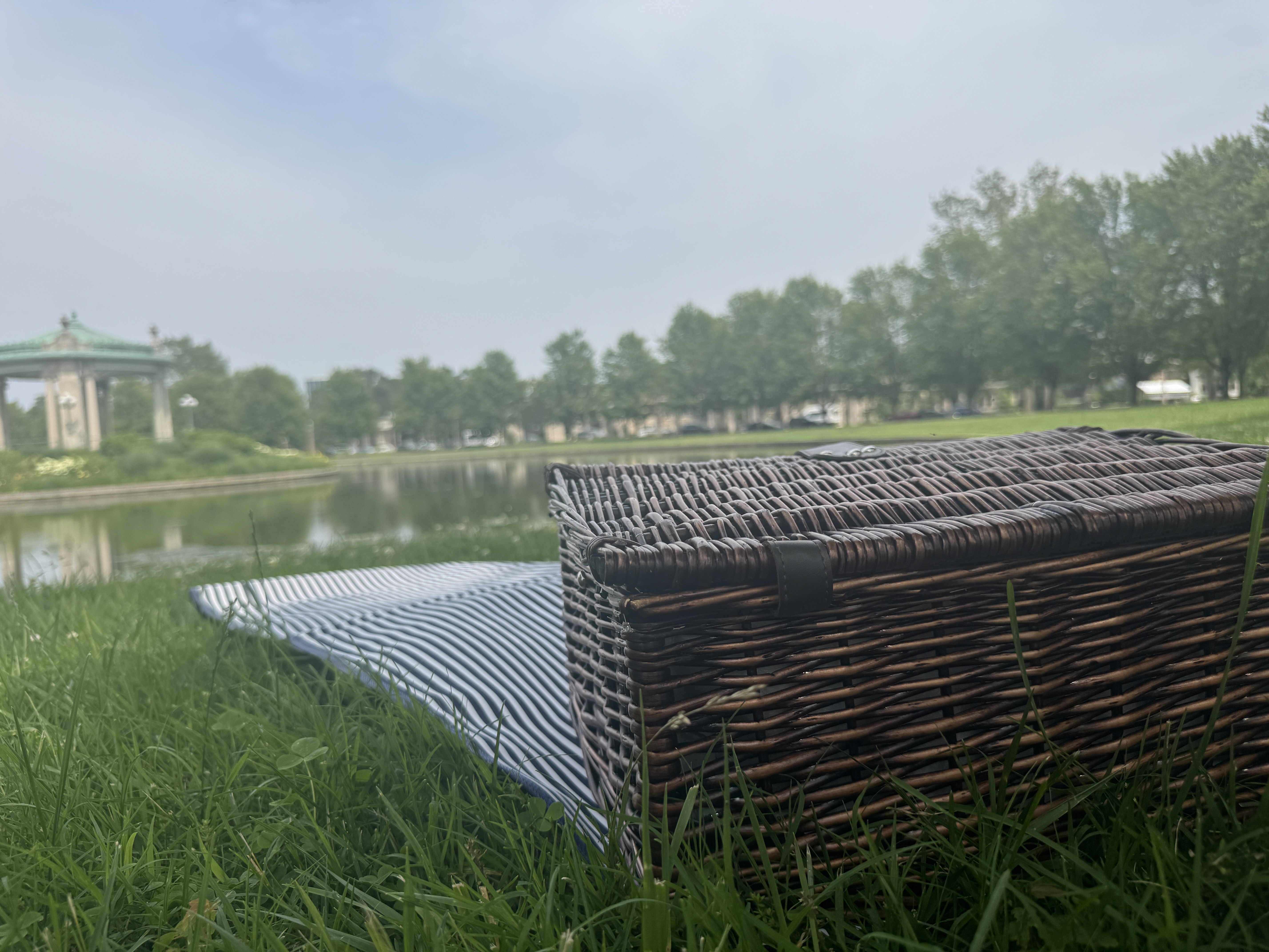 Forest Park picnic spread near the Muny outdoor theater, St. Louis