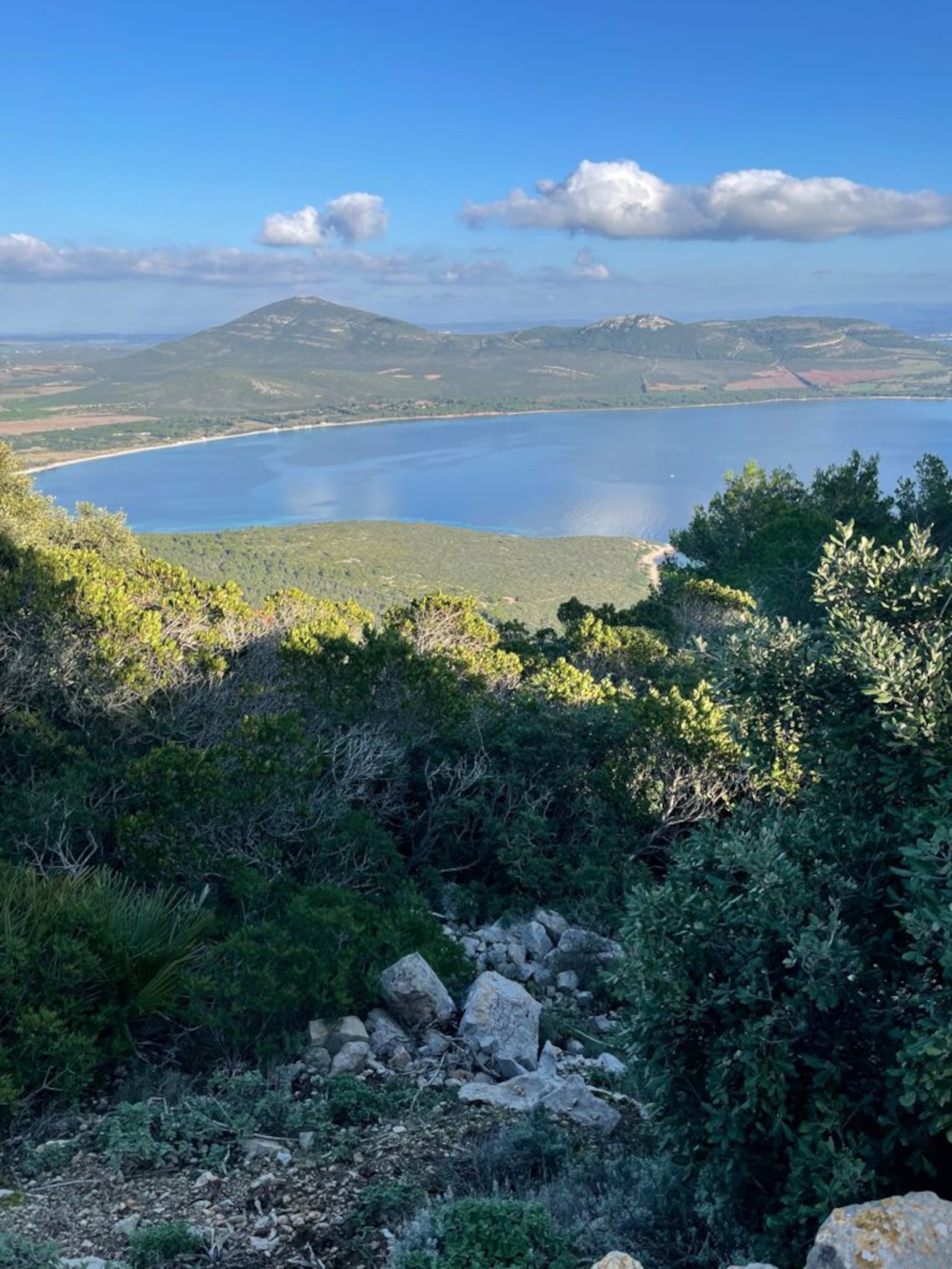 Alghero: ebike tour in Porto Conte Park - Photo 12