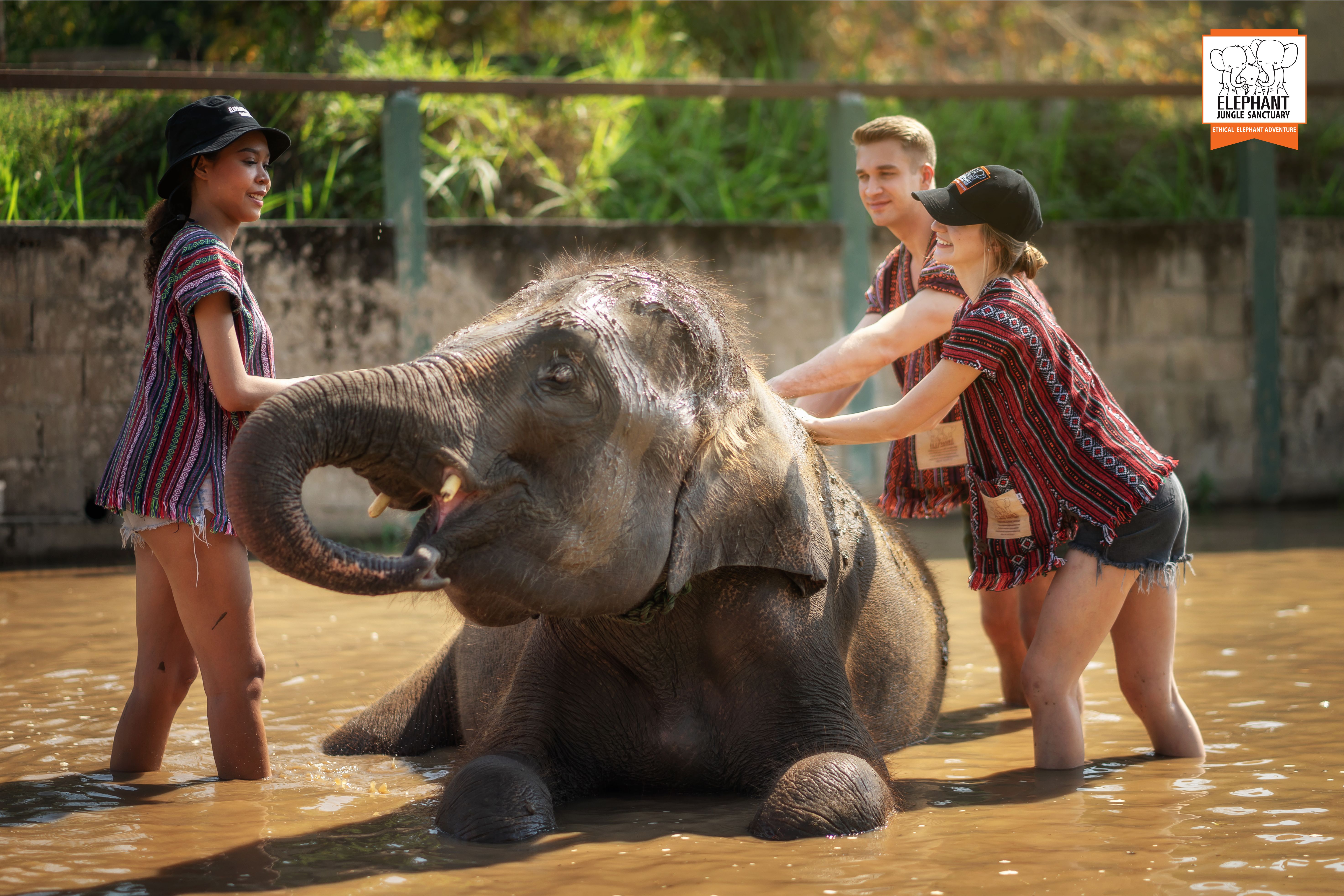 Chiang Mai: Tam Gün Deneyim