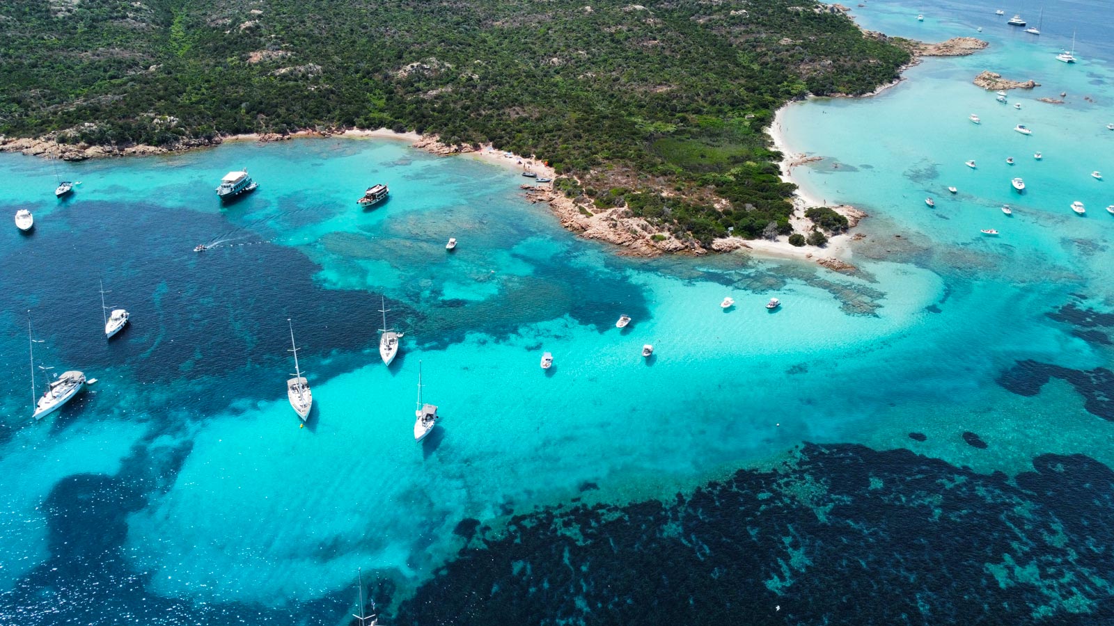 From Palau: motorboat tour of the La Maddalena Archipelago - Photo 23