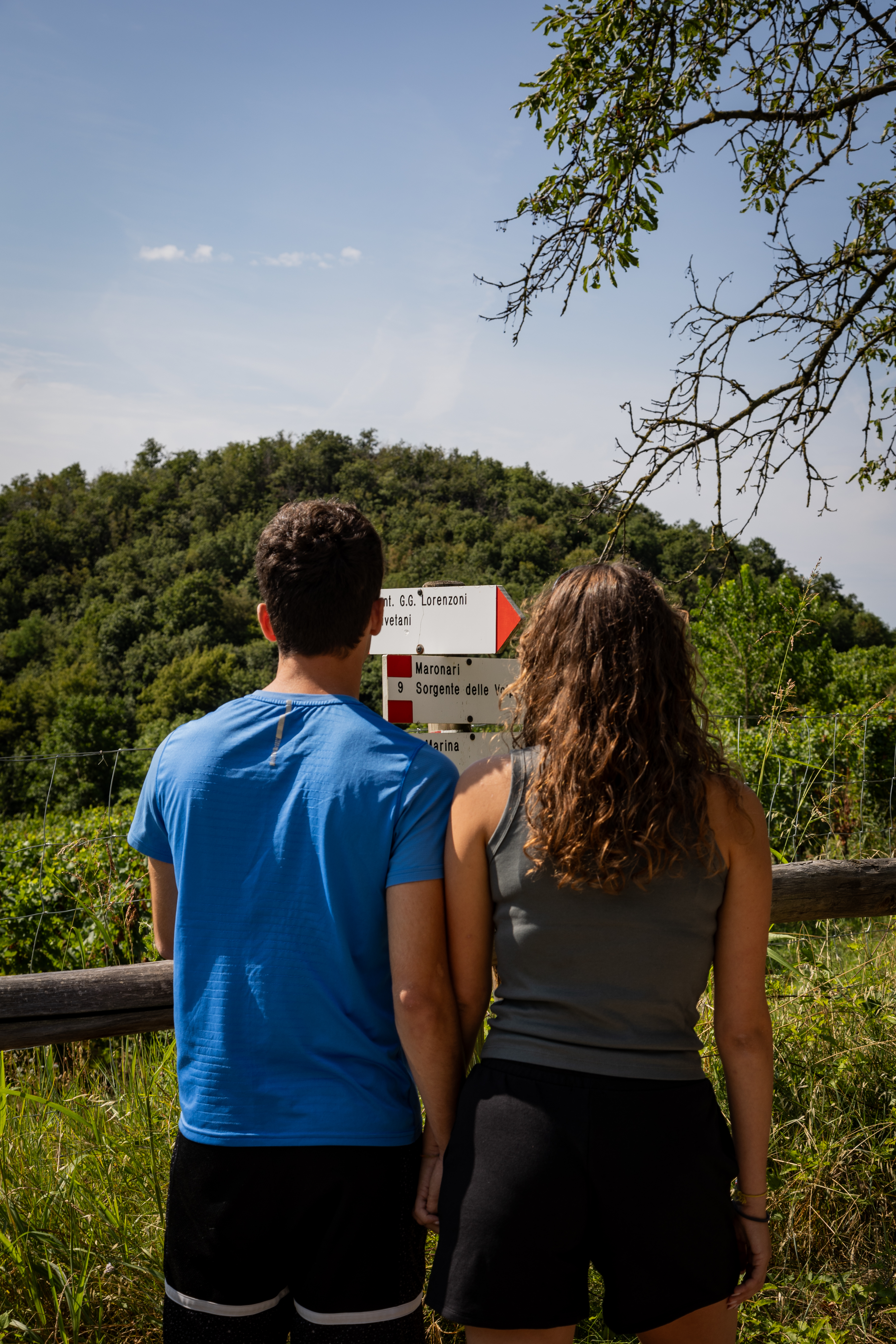  Hiking in the Euganean Hills - Photo 8