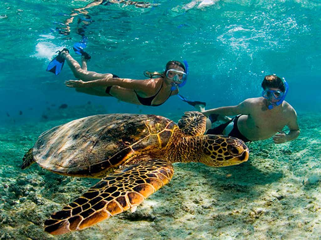 Excursión a Tulum y Akumal — 11/13