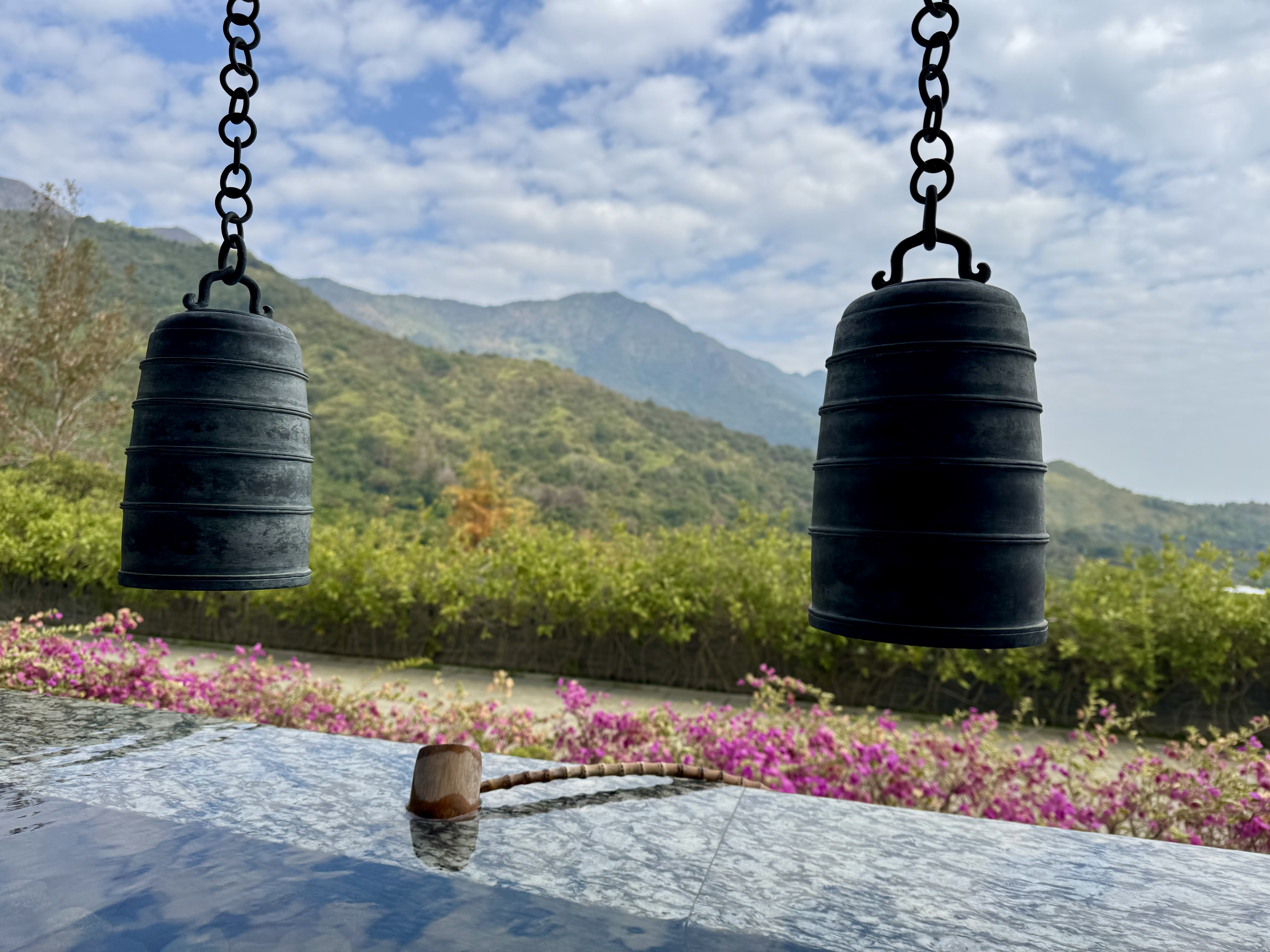 Guided Tour of the New Territories with Tsz Shan Monastery in Private Service - Accommodations in Hong Kong