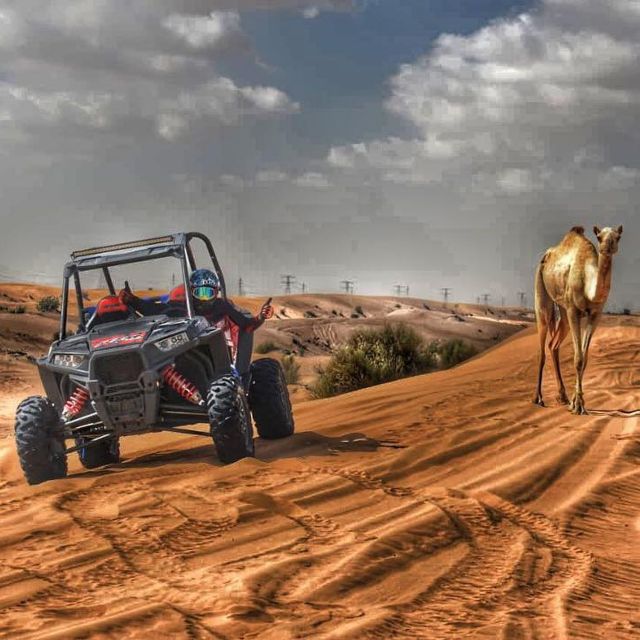 Agadir: tour en buggy por las dunas de Marruecos con refrigerio y traslado