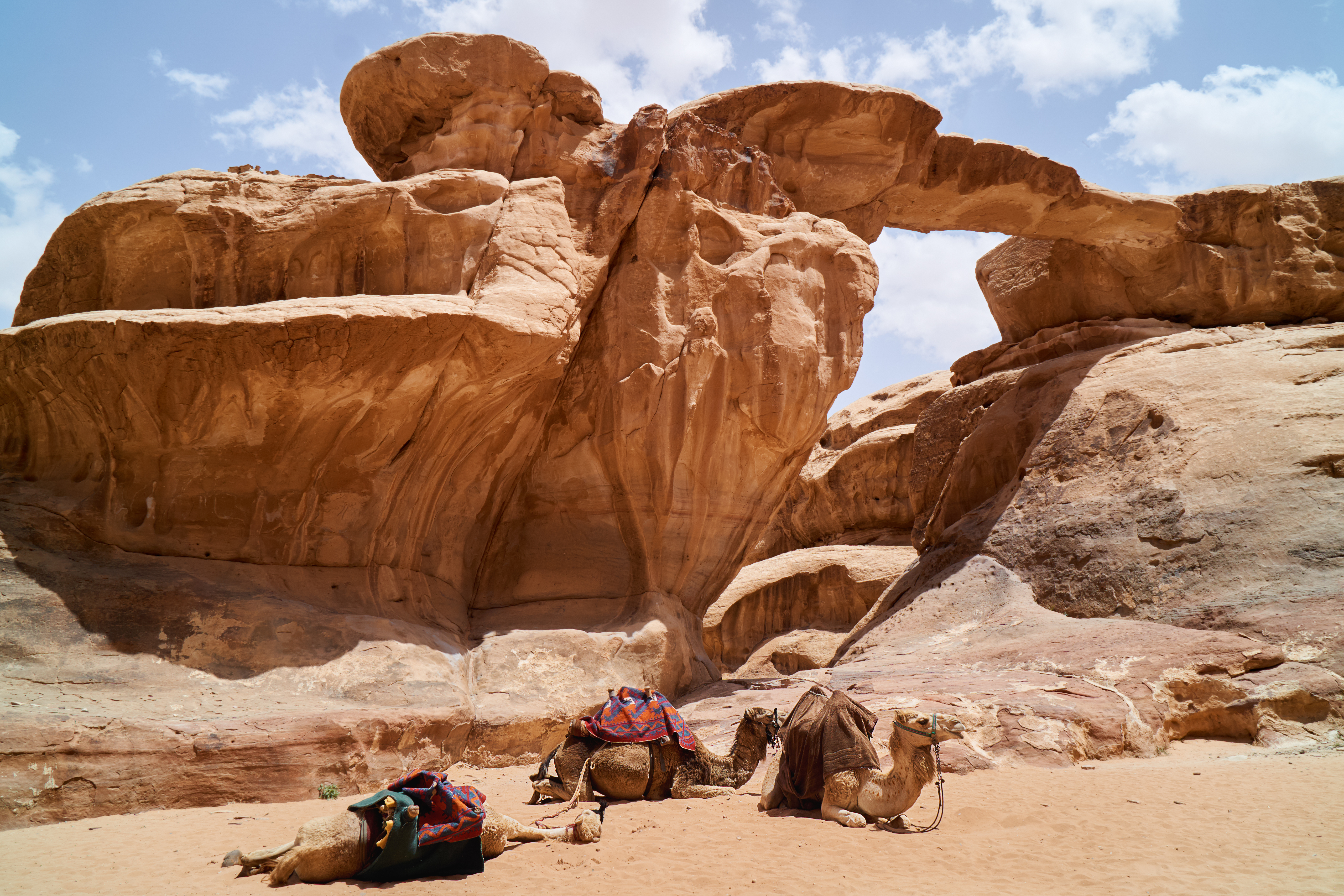 Petra