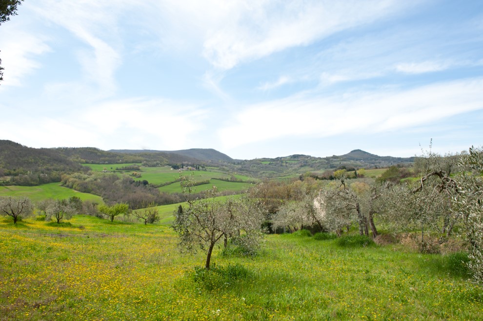 Cinta Senese Tour: discover an authentic Tuscan farmhouse - Photo 5
