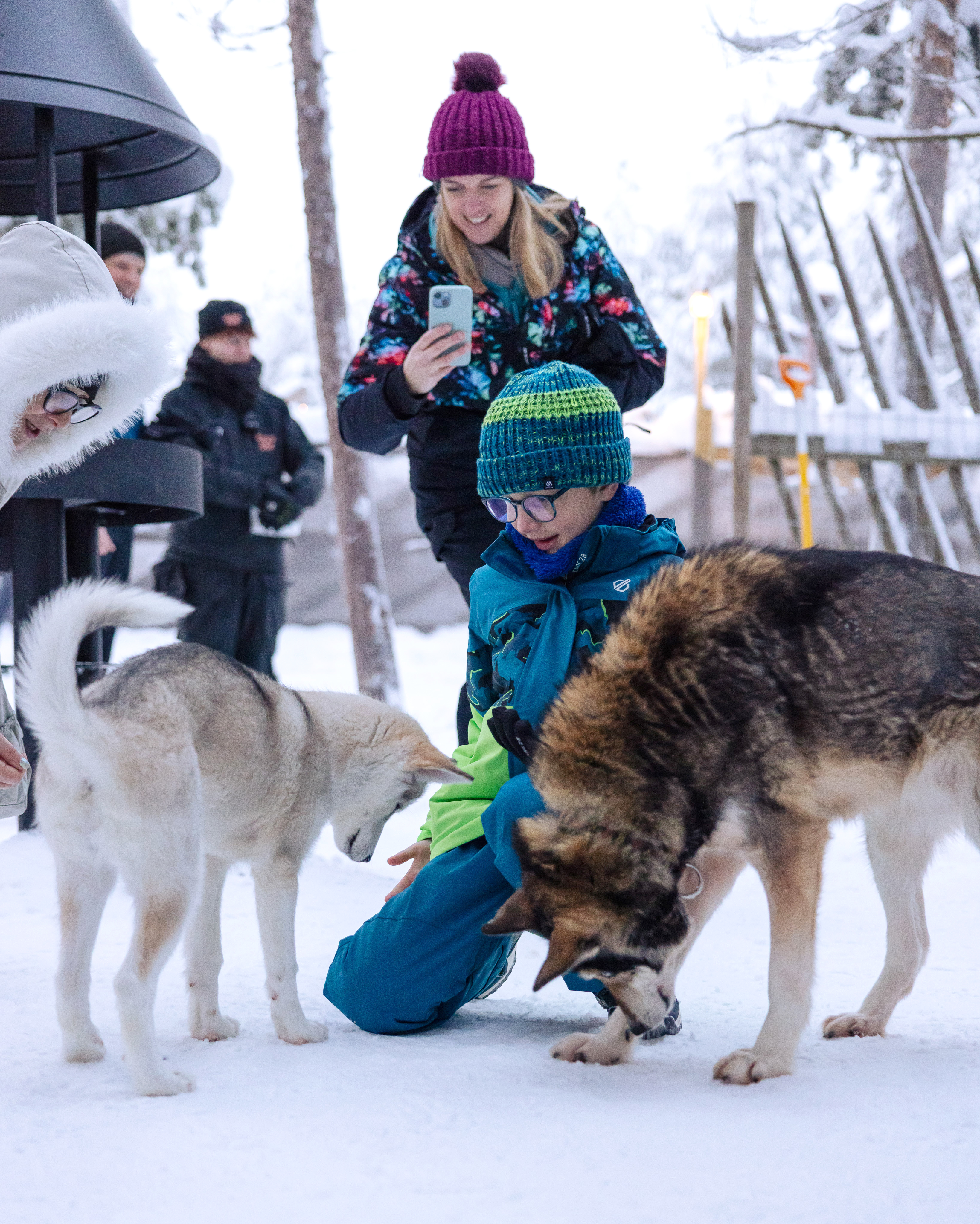 Husky Meet and Greet – Image 4 | WeShare