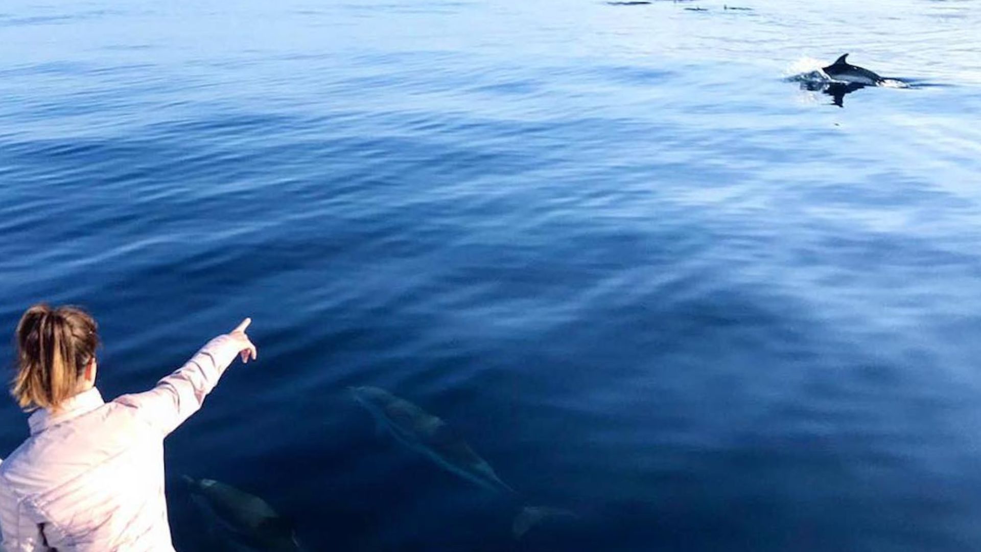 From Cala Gonone: naturalistic excursion on a RIB - Photo 4