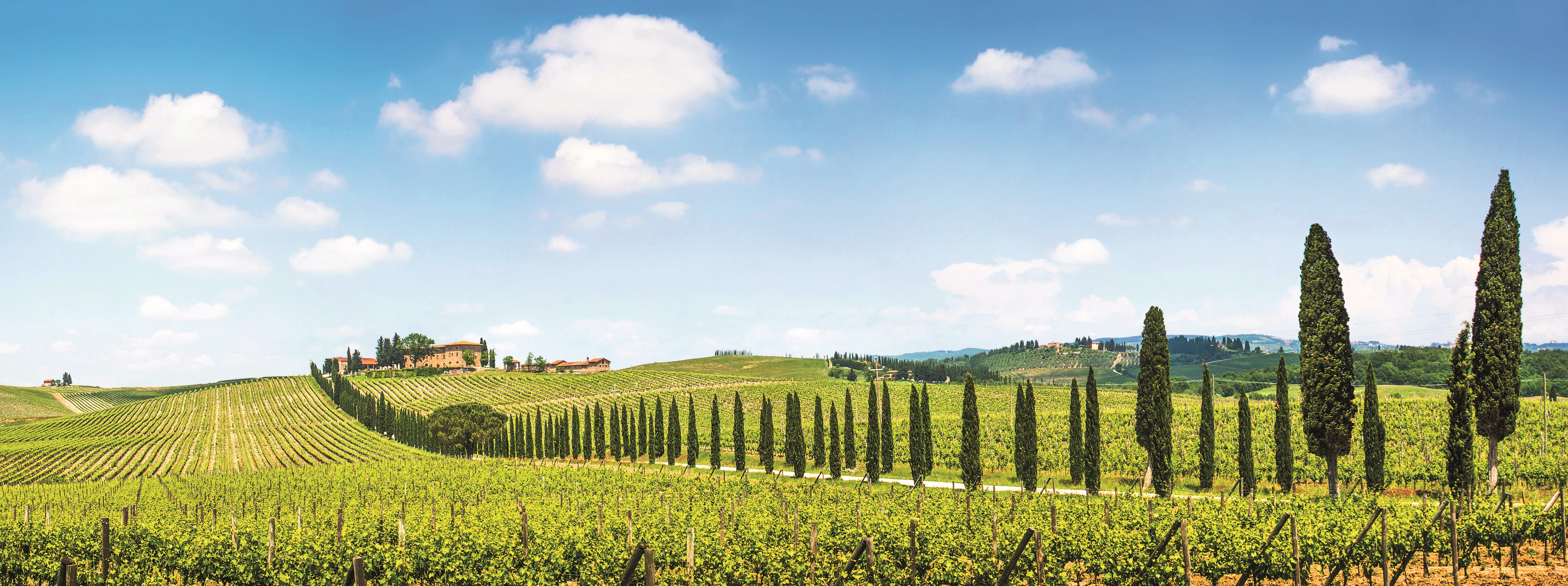 Tuscany e-bike tour from Siena - Photo 9