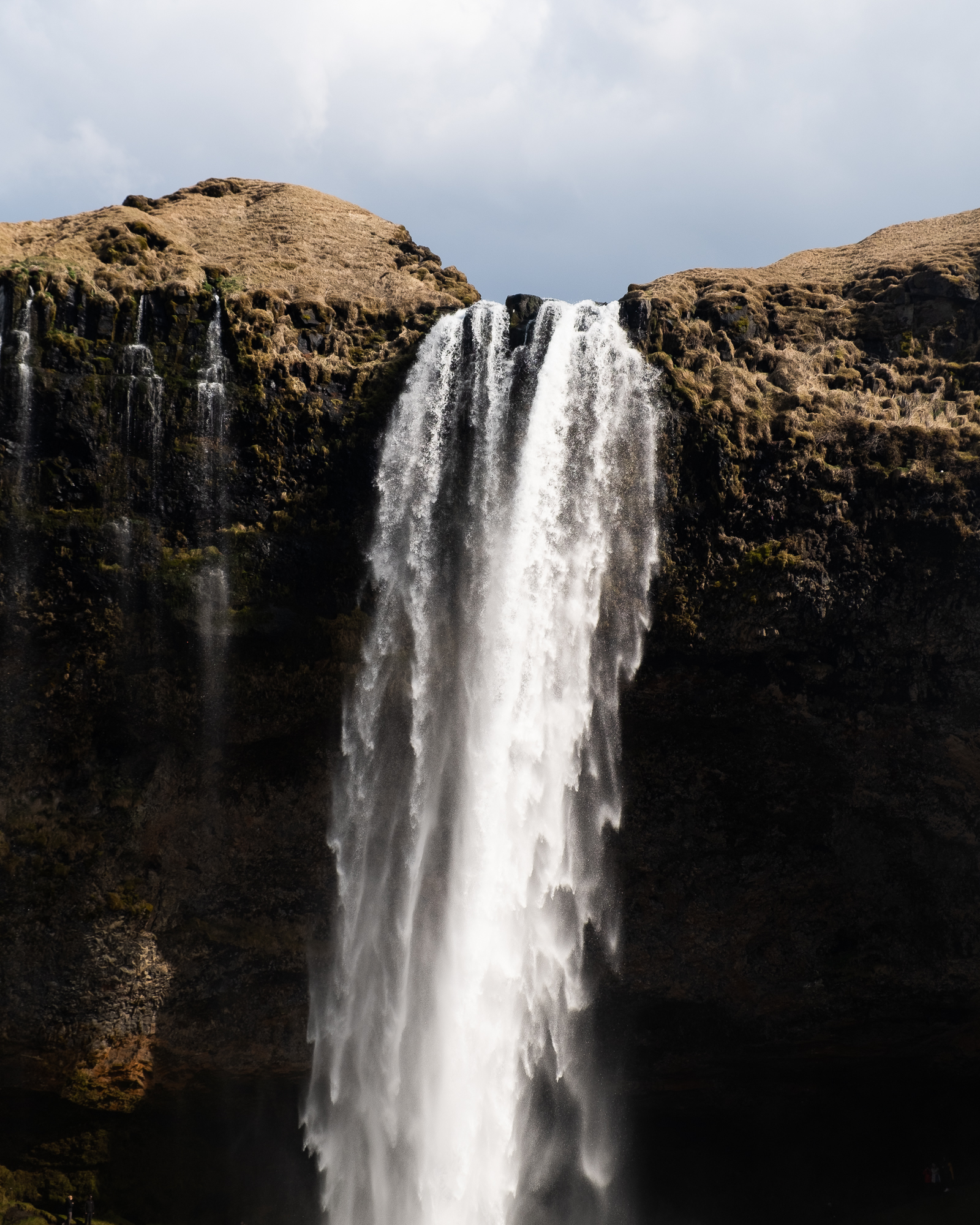 South Coast & Black Sand Horse Riding Tour - photo 10