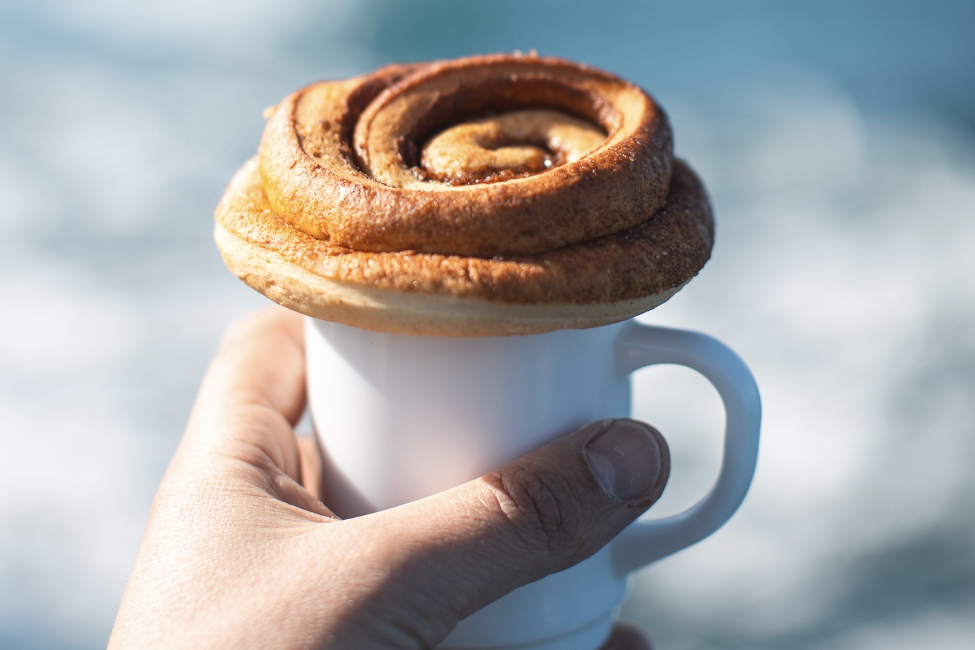 Whales and Horses - photo 5