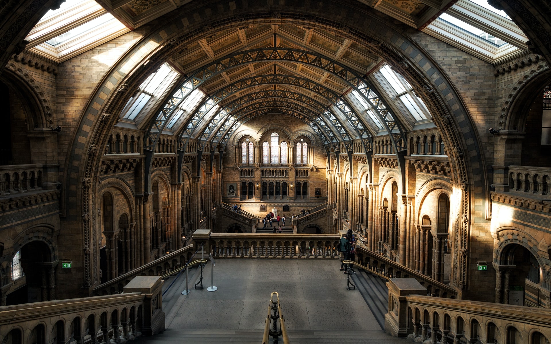 London: Natural History Museum In-App Audio Tour with a Ticket (Japanese)