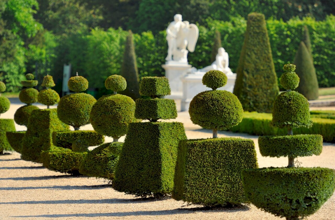 Honfleur: Private Shore Excursion to Versailles Palace