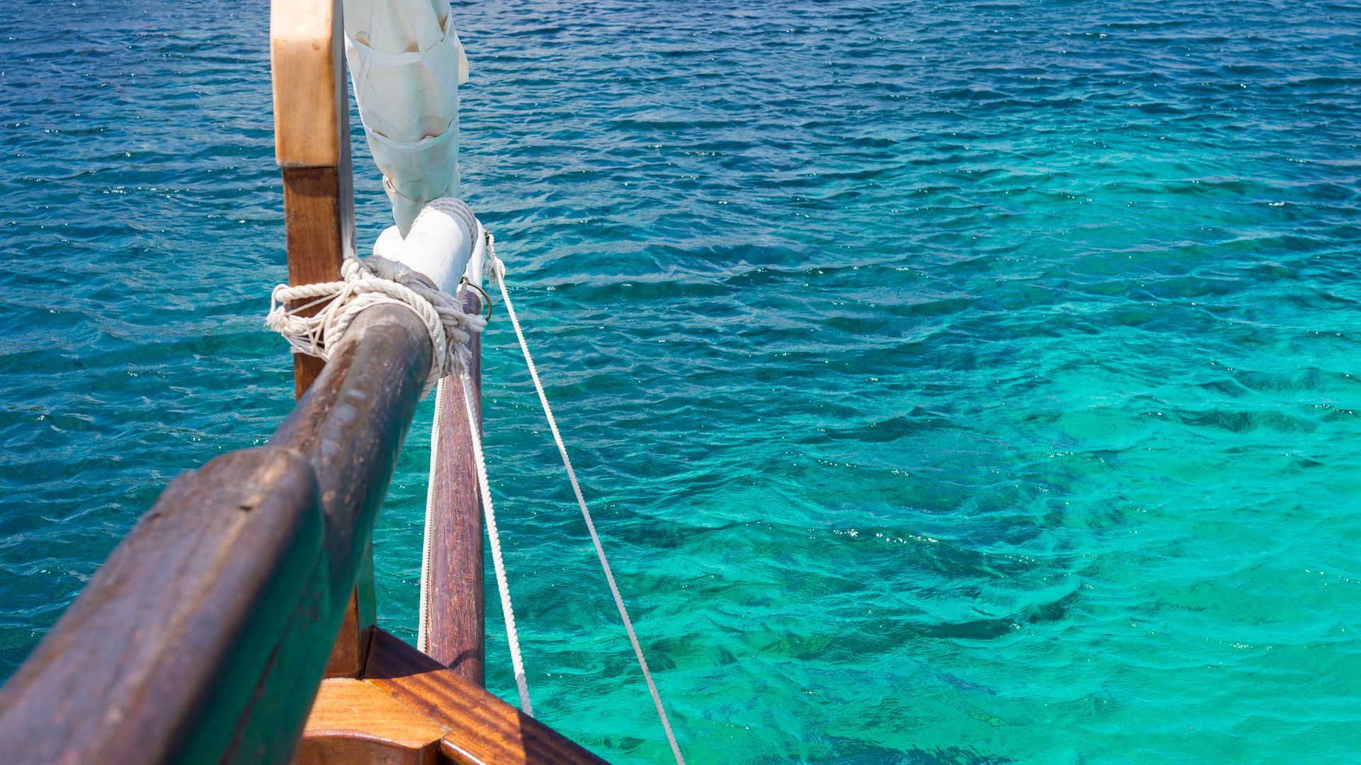 From Stintino: sailing trip to Asinara - Photo 18