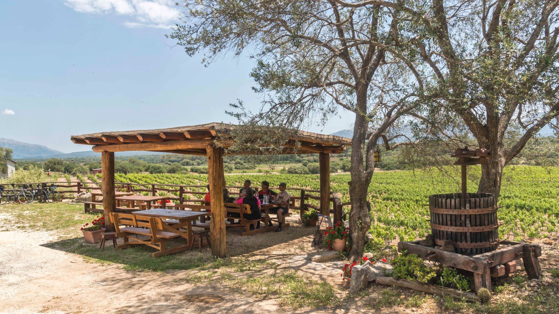 Dorgali: visit of a winery with tasting - Photo 21