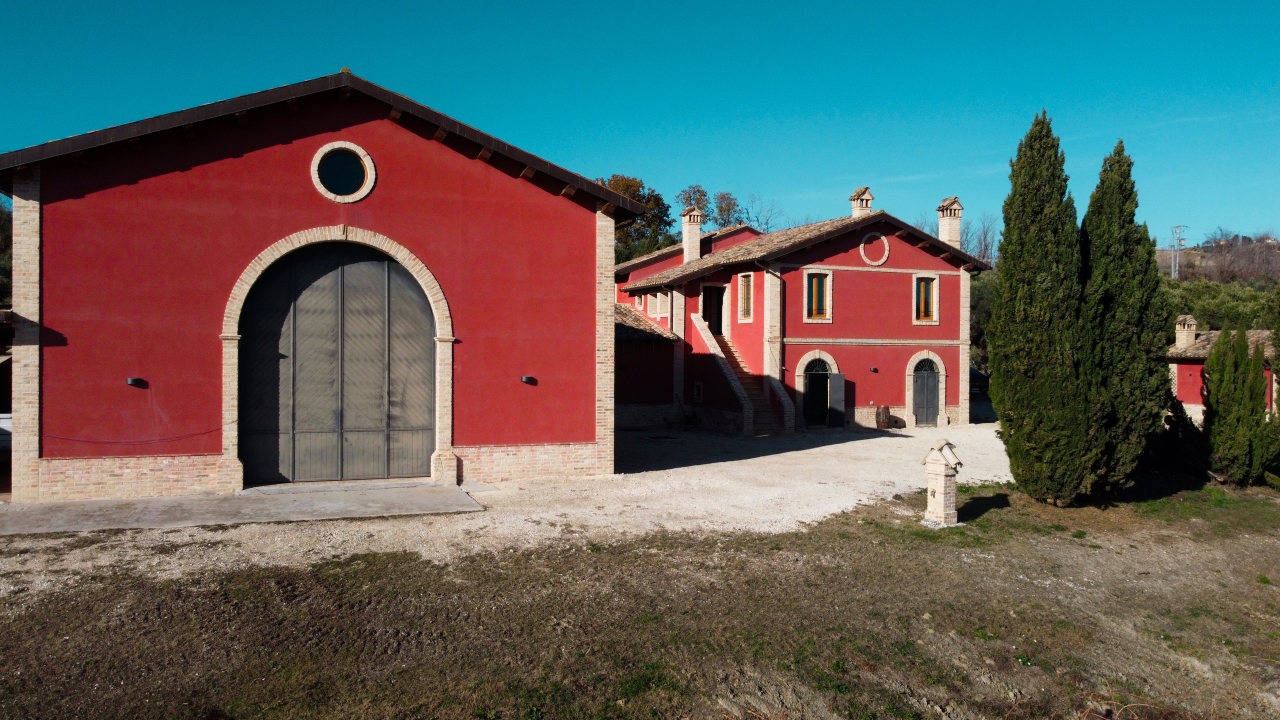 Marche: unique visit and tasting at Cantina D'Erasmo amidst signature wines - Photo 5