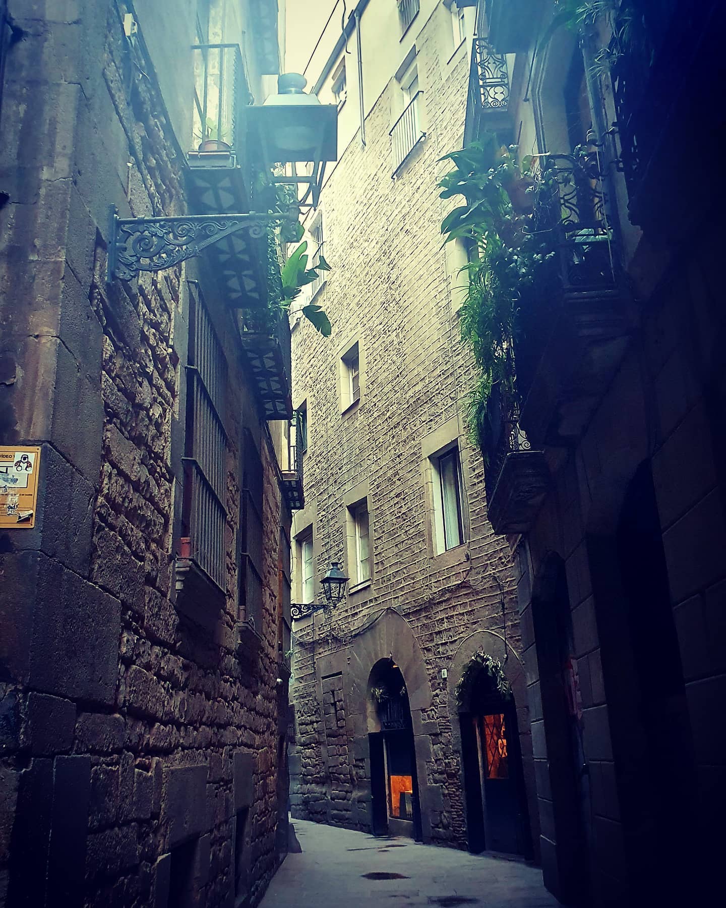 Nosotros los judíos, el Call de Barcelona