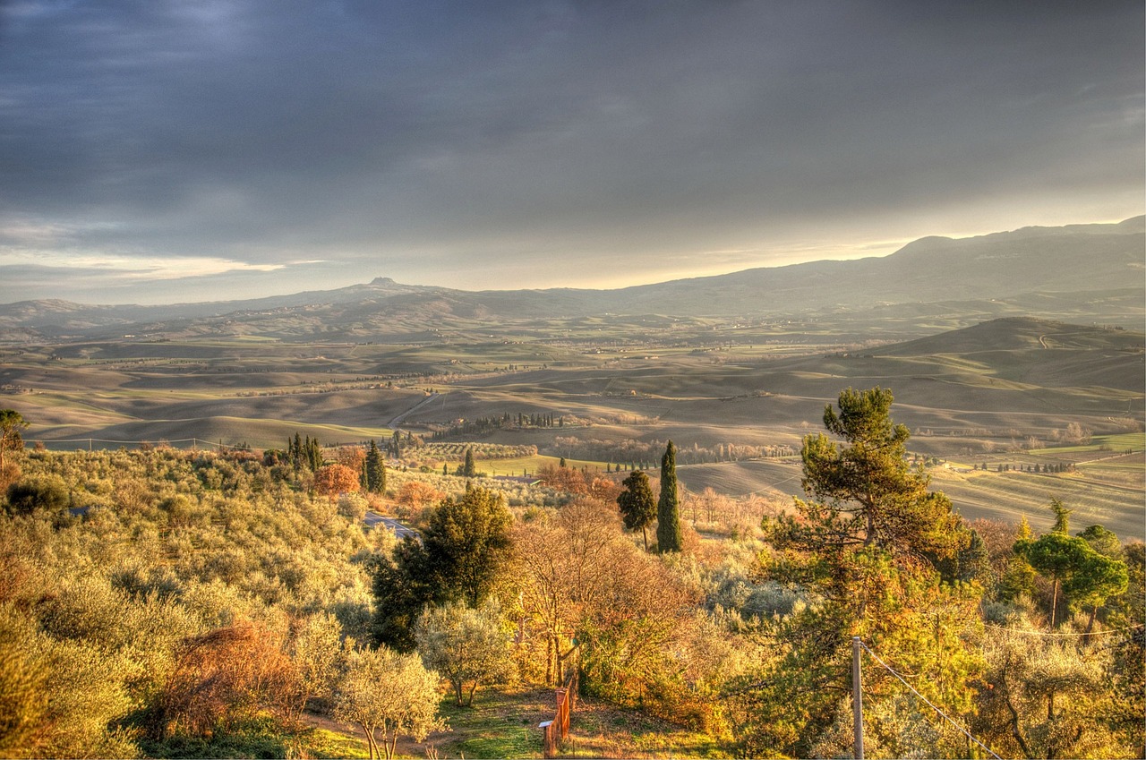 Private Tour: Val d’Orcia in Style, with Winery Lunch & Scenic Views - Photo 6