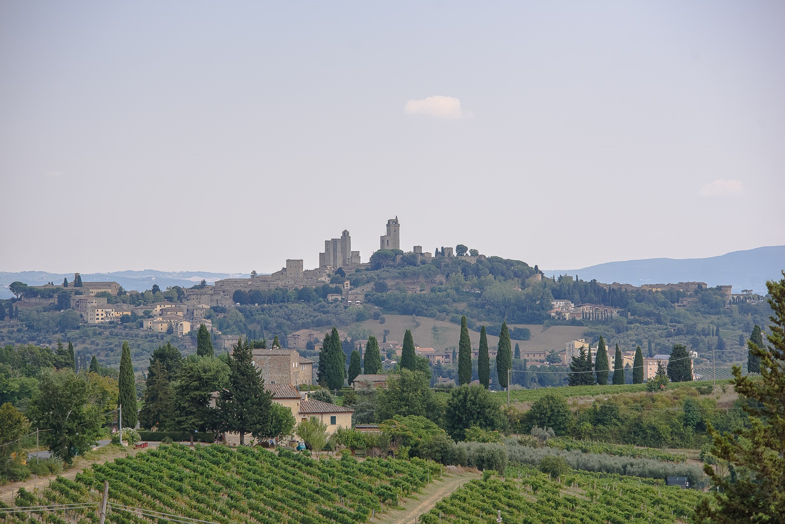 Small-Group Winery Tour with Tasting and Dinner in Chianti - Photo 133