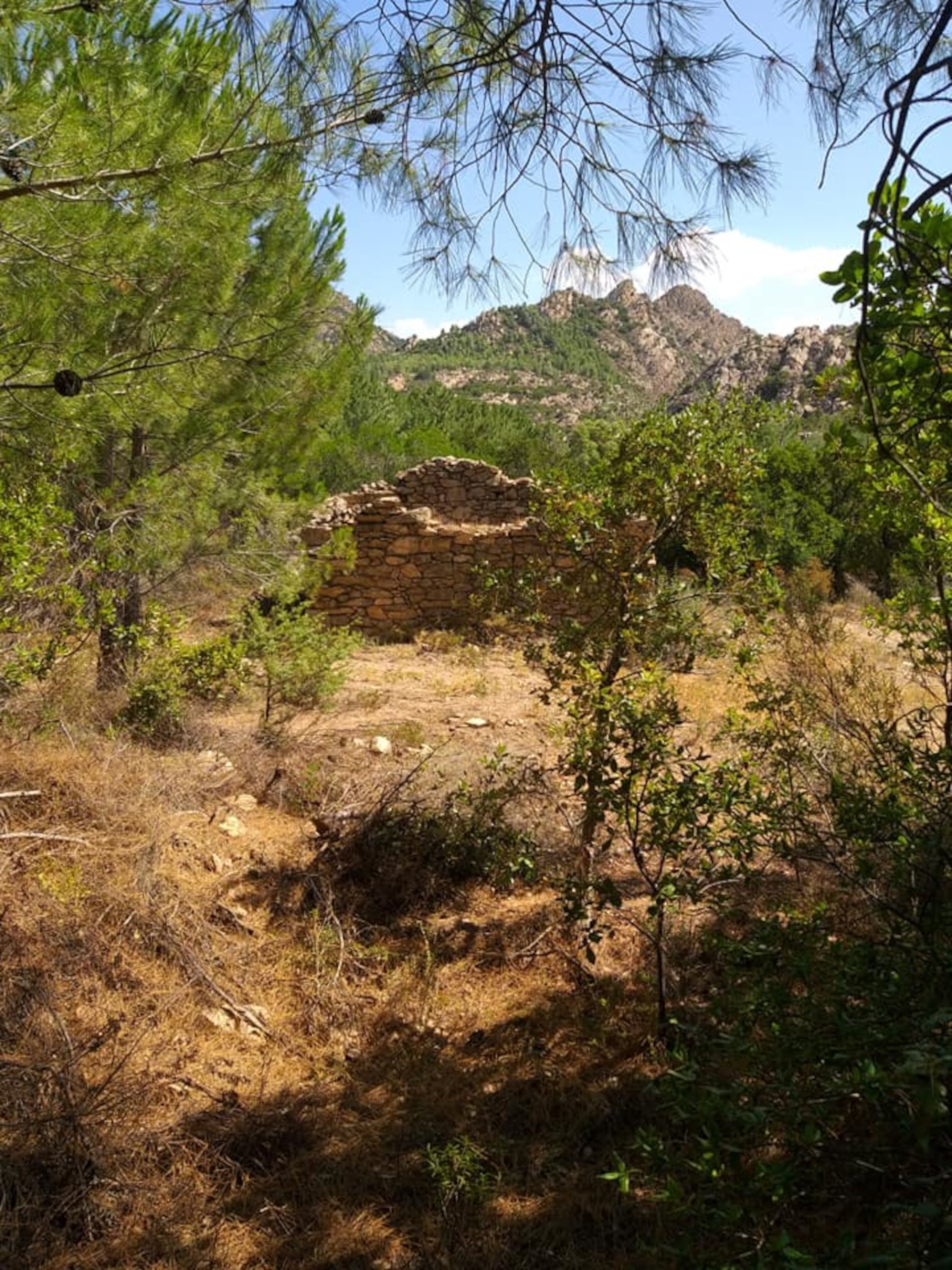 From San Teodoro: jeep tour to Rio Pitrisconi - Photo 12