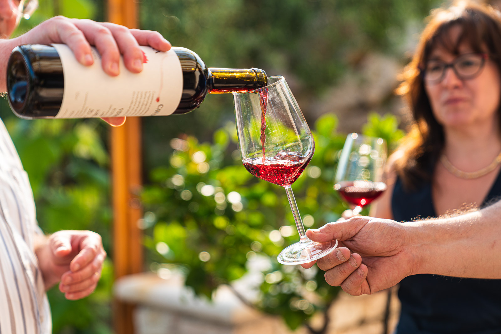 Fumane: tasting of 3 wines on Valpolicella Hills - Photo 6