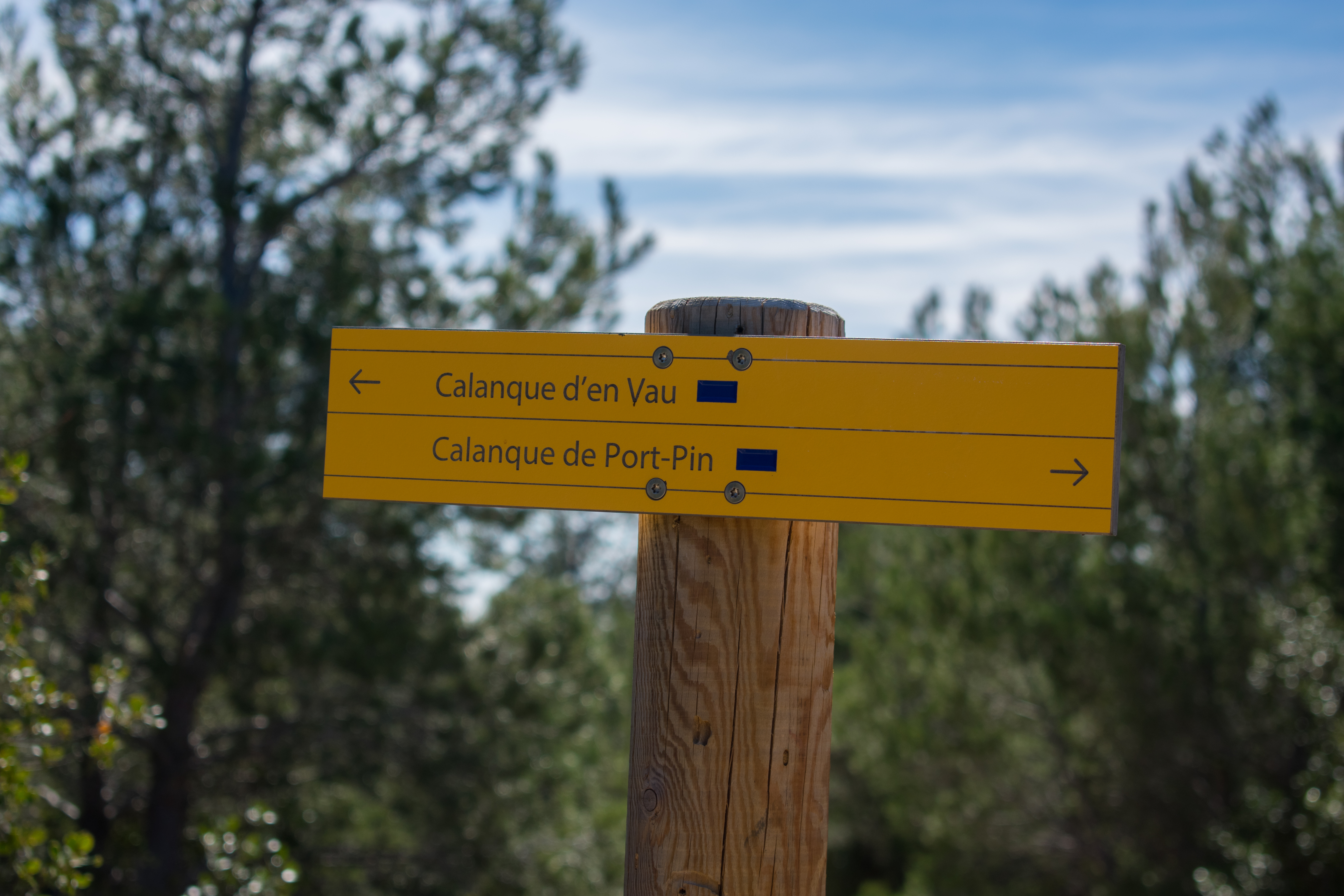 Hiking in the Calanques national park from Luminy  - Photo 9