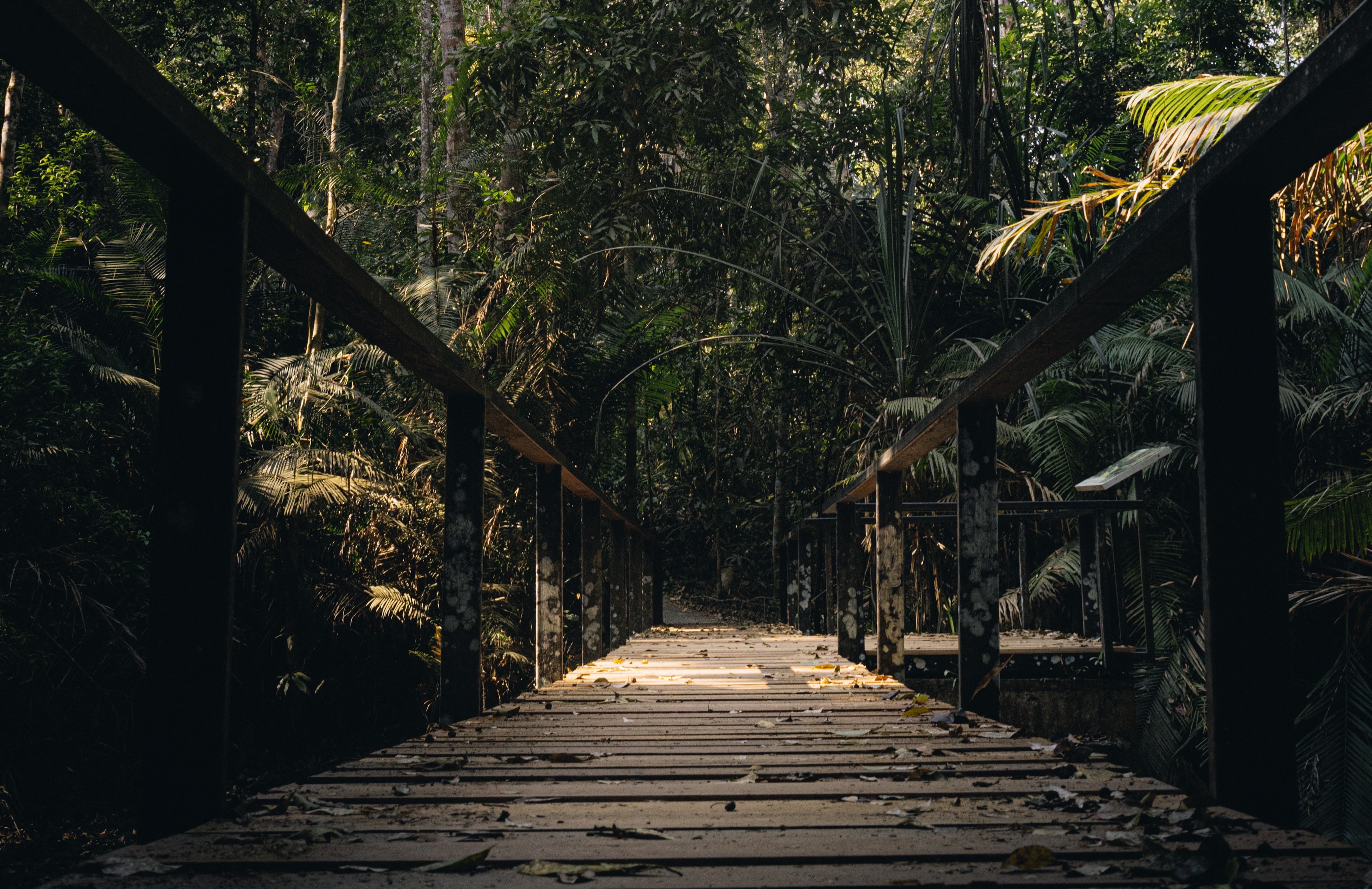 Khao Yai National Park Tour with Waterfalls from Bangkok: Semiprivate or Private Option with Pickup
 - Accommodations in Bangkok