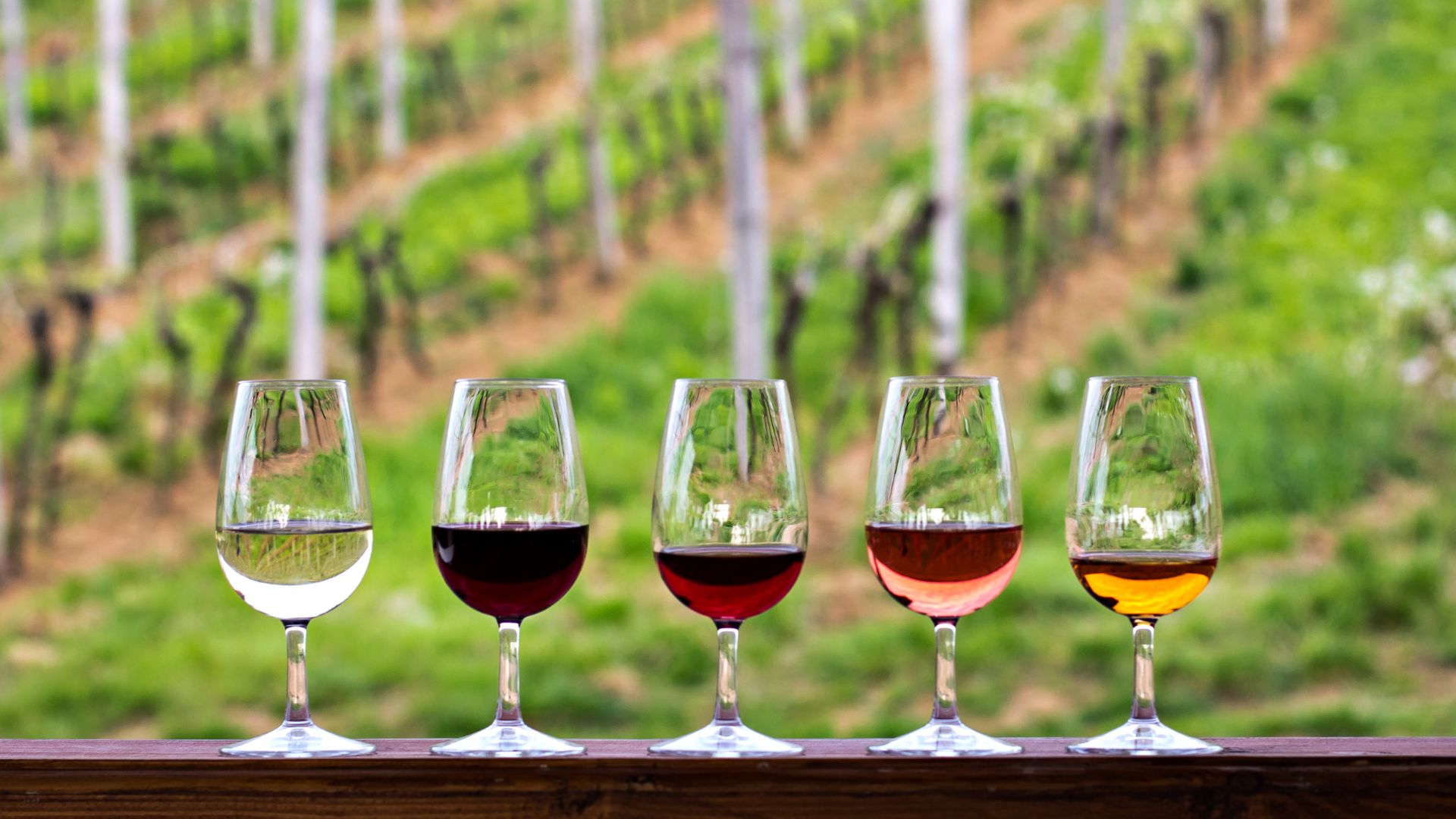 Irpinia: Wine tasting and guided tour - Photo 16