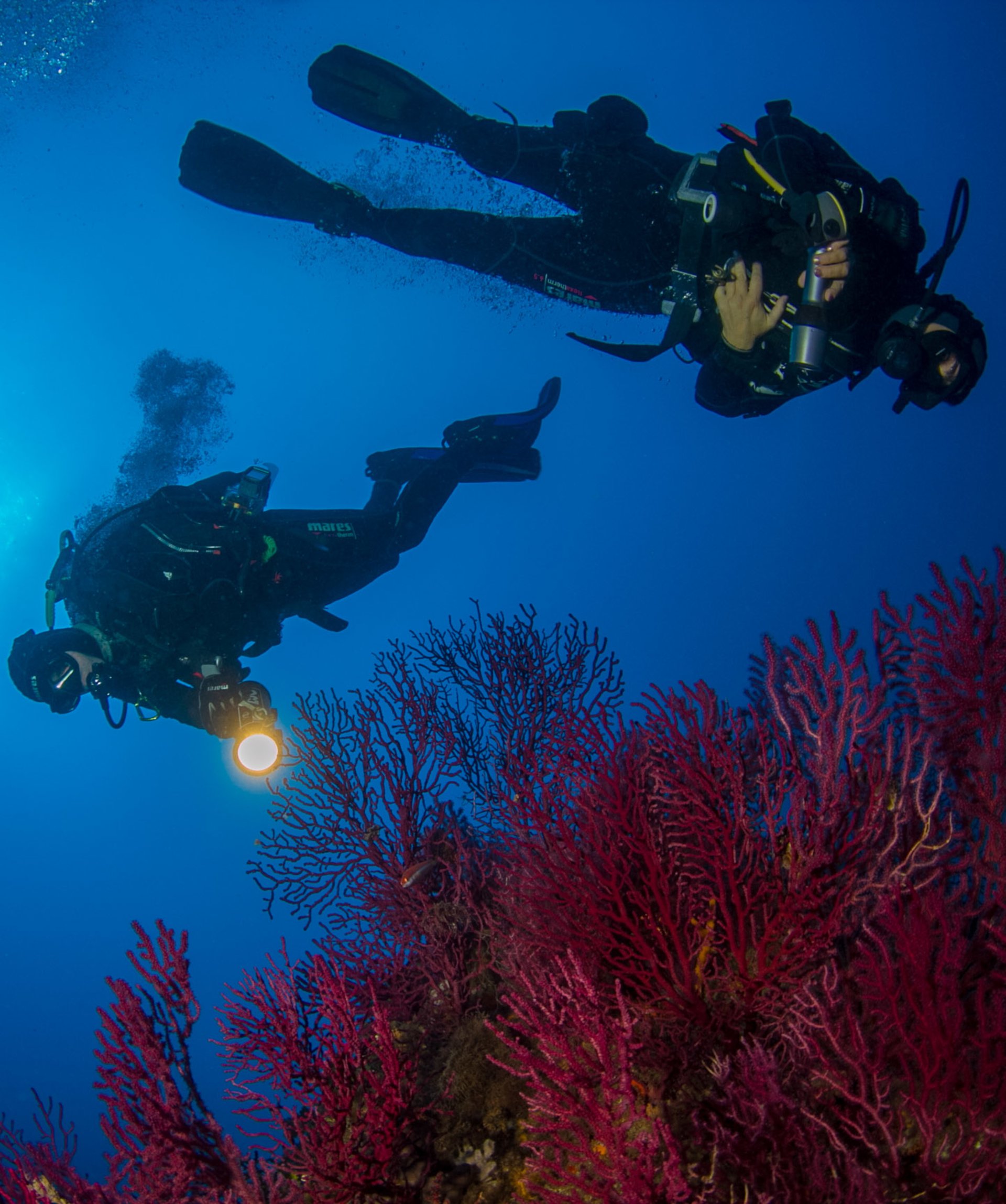 Bosa: diving baptism - Photo 14