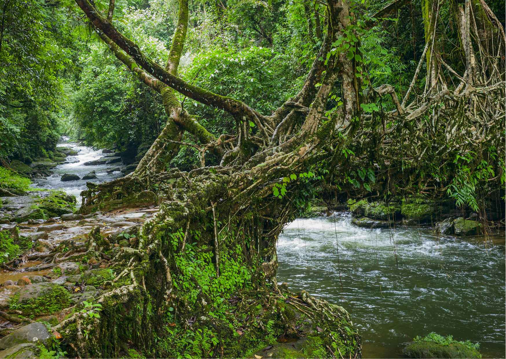 Touristic Highlights of Shillong (Guided Fullday Sightseeing Tour by Car) - Photo 7