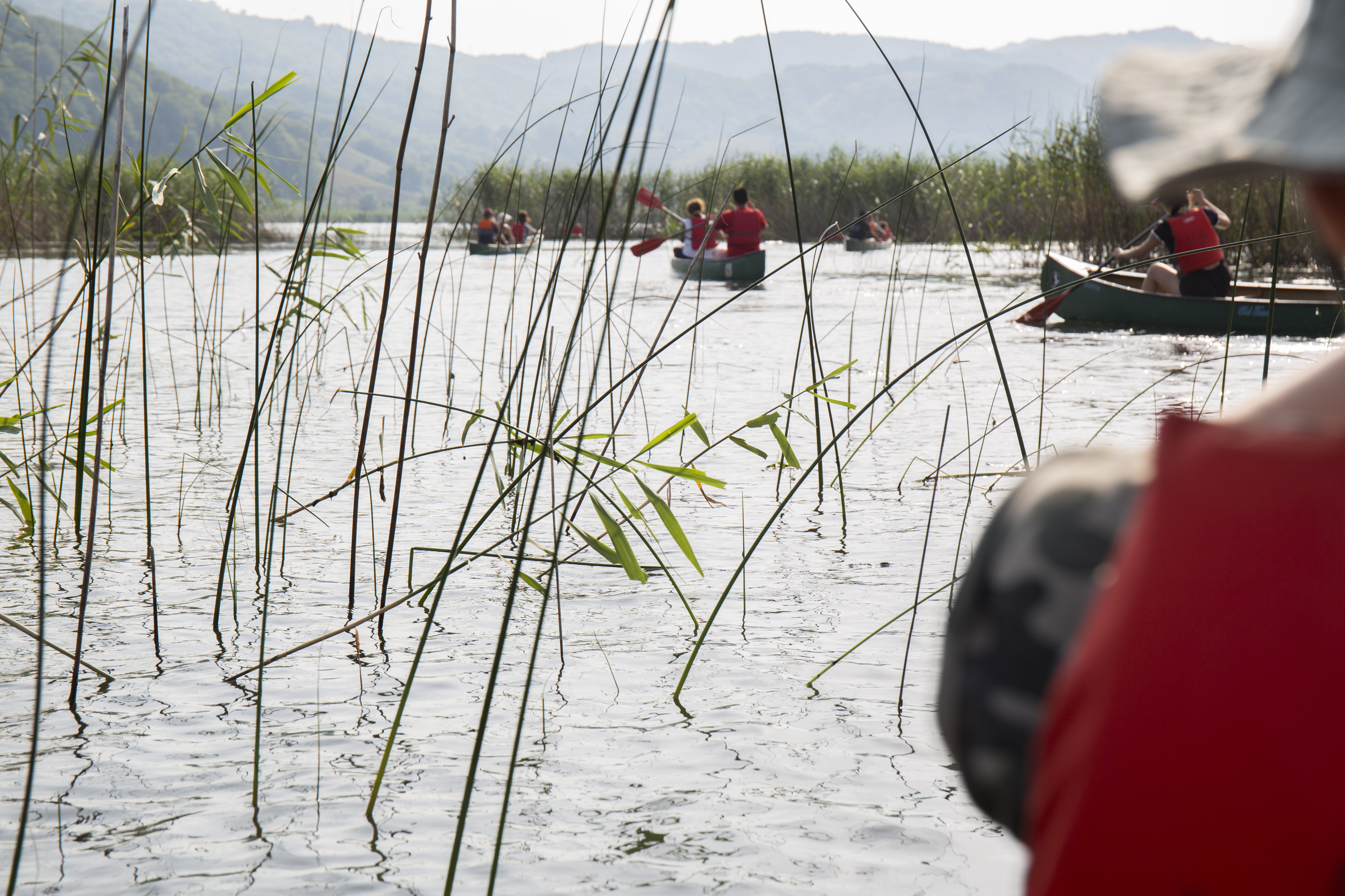Caserta: canoeing excursion on Lake Matese - Photo 3