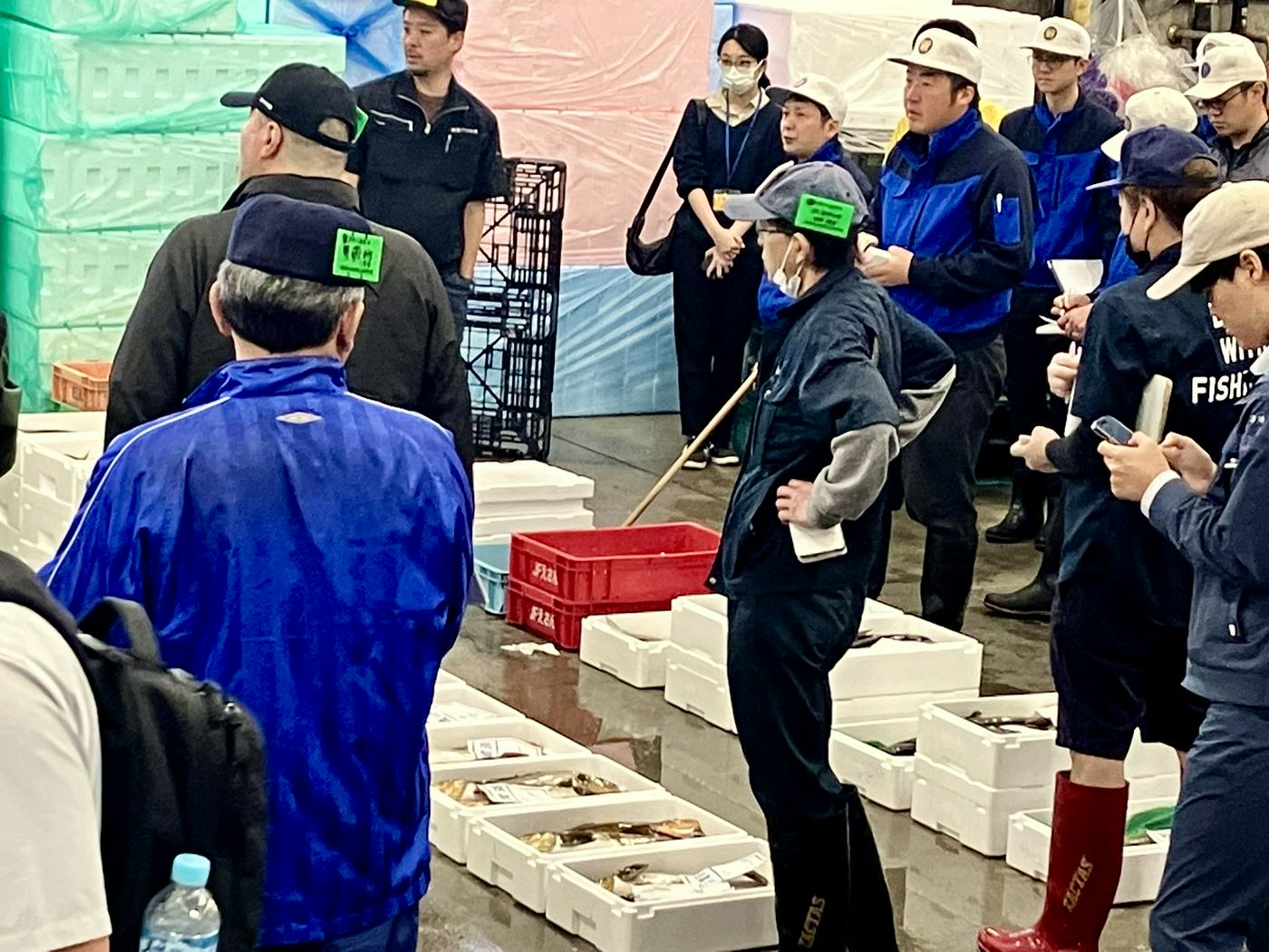 JTB�@���̉߂������i�k�C���j�̃C���[�W