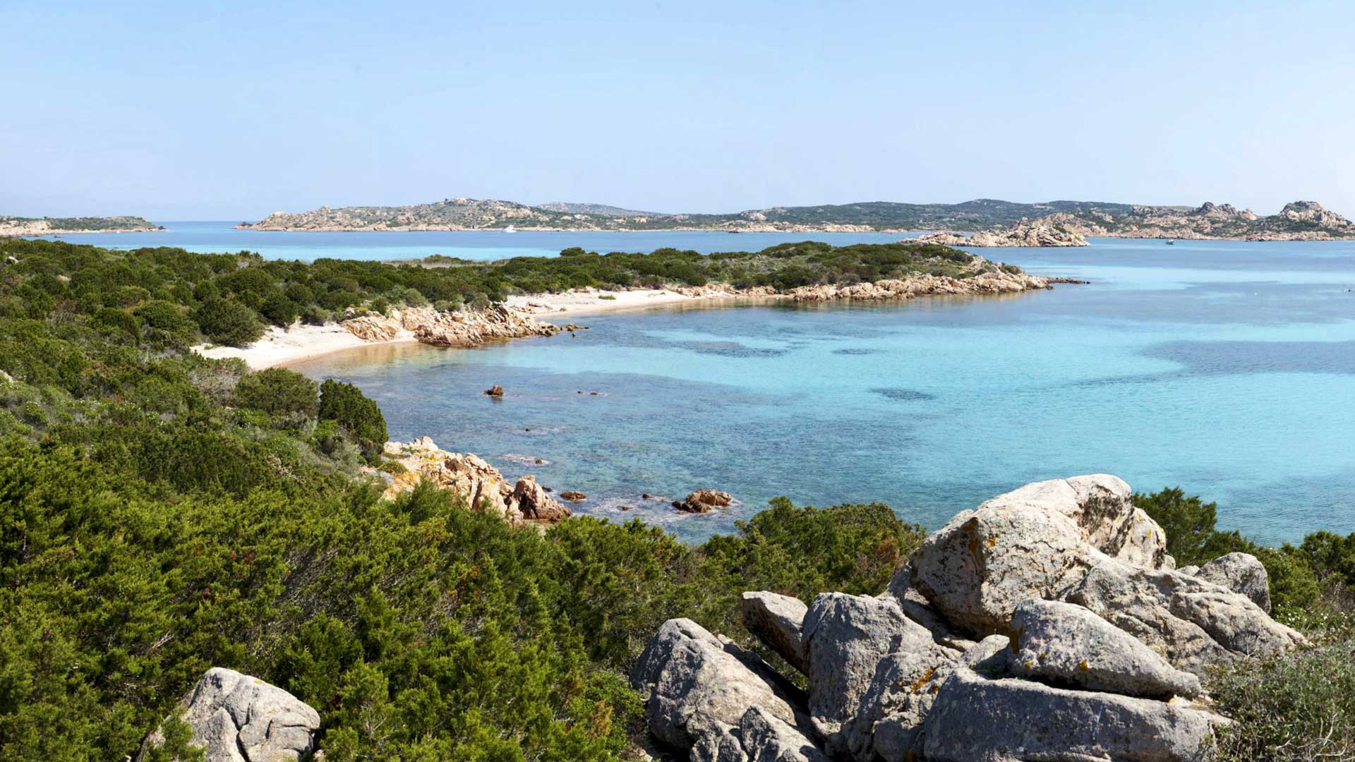 From Santa Teresa di Gallura: motorboat tour of the La Maddalena Archipelago - Photo 11