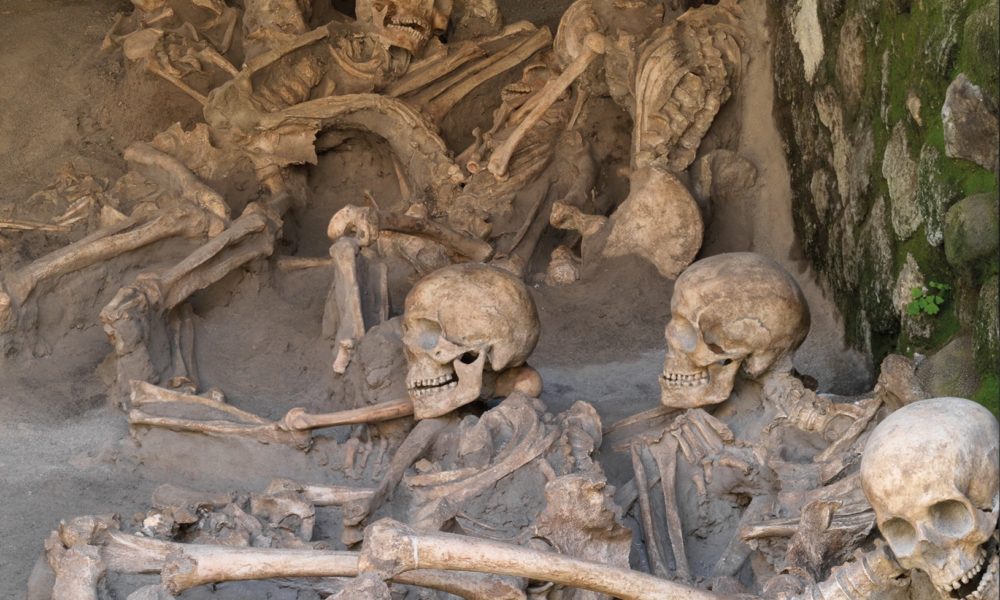 Heclulaneum daily tour - Photo 10