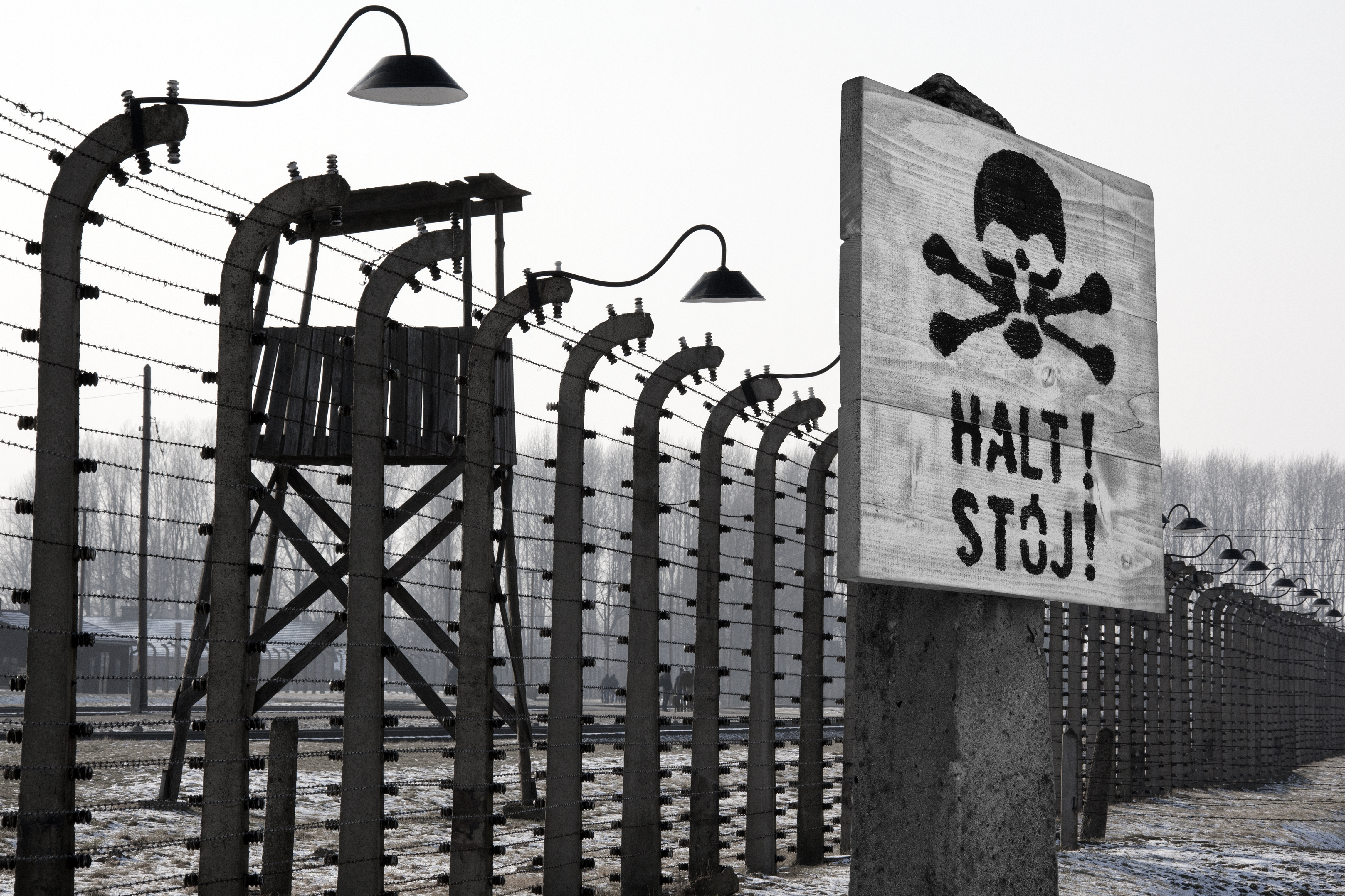 Auschwitz-Birkenau Memorial and Wieliczka Salt Mine 1 Day Guided Tour