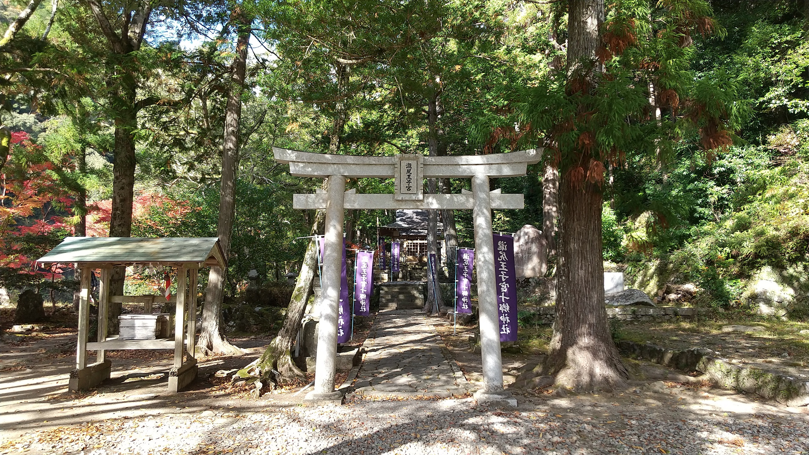 ���_�����Ԋ�����Ђ̃C���[�W