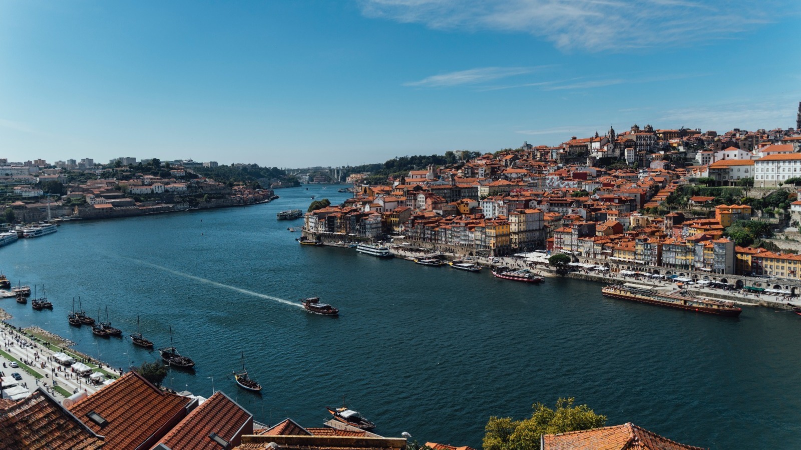 Private Porto Morning Tour: São Bento, Sé and Bridge Viewpoints - Photo 16