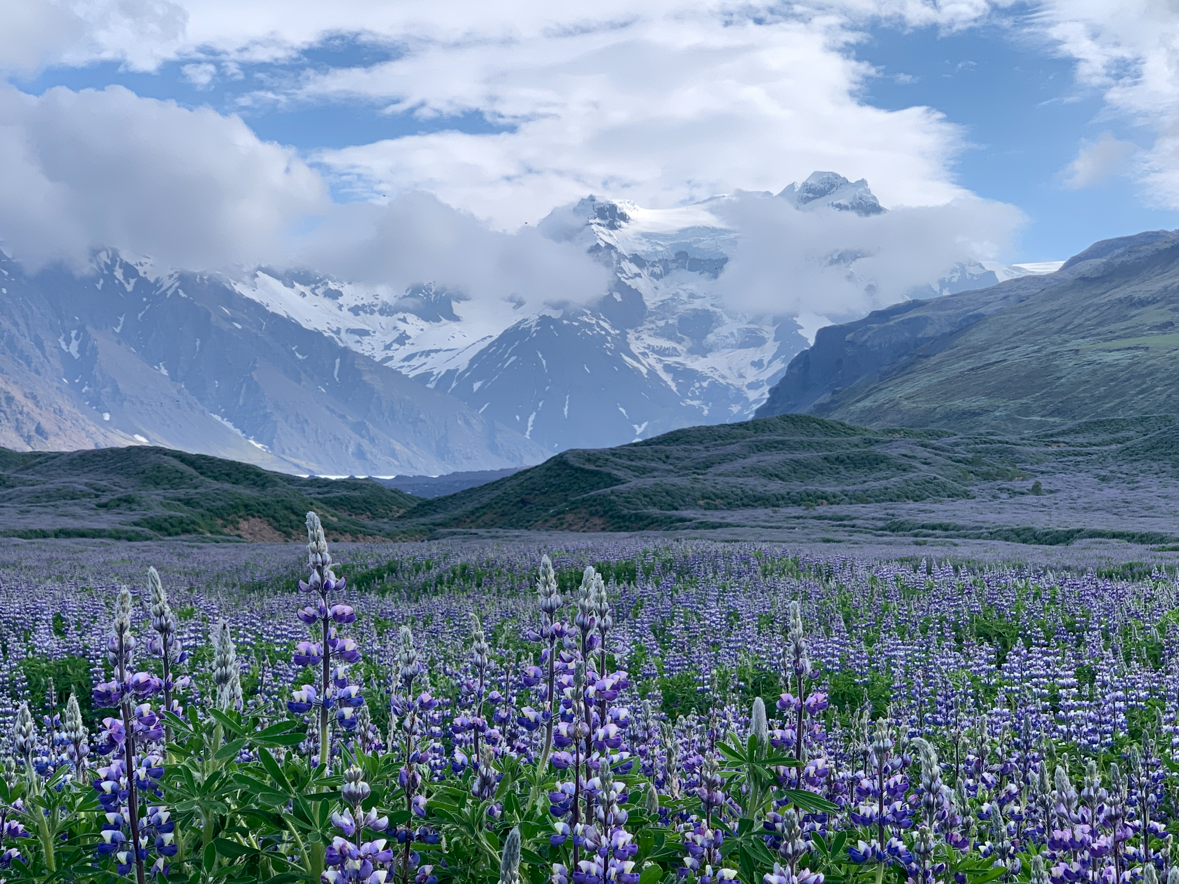 Private Super Jeep with driver guide, fits 4 passengers - photo 25