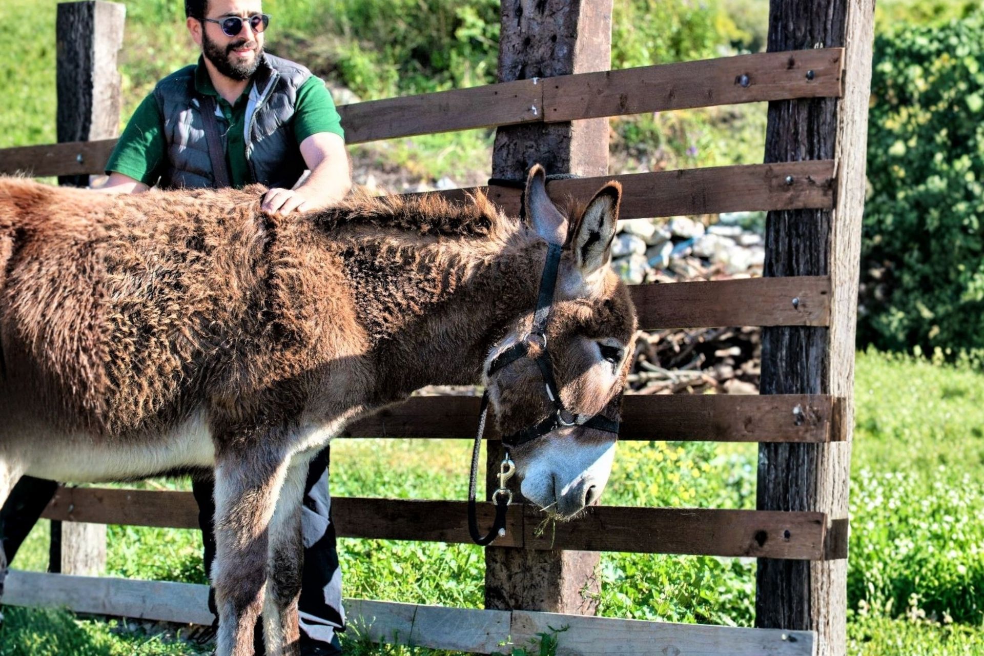 Sassari: hiking with donkeys in Cargeghe and aperitif - Photo 7